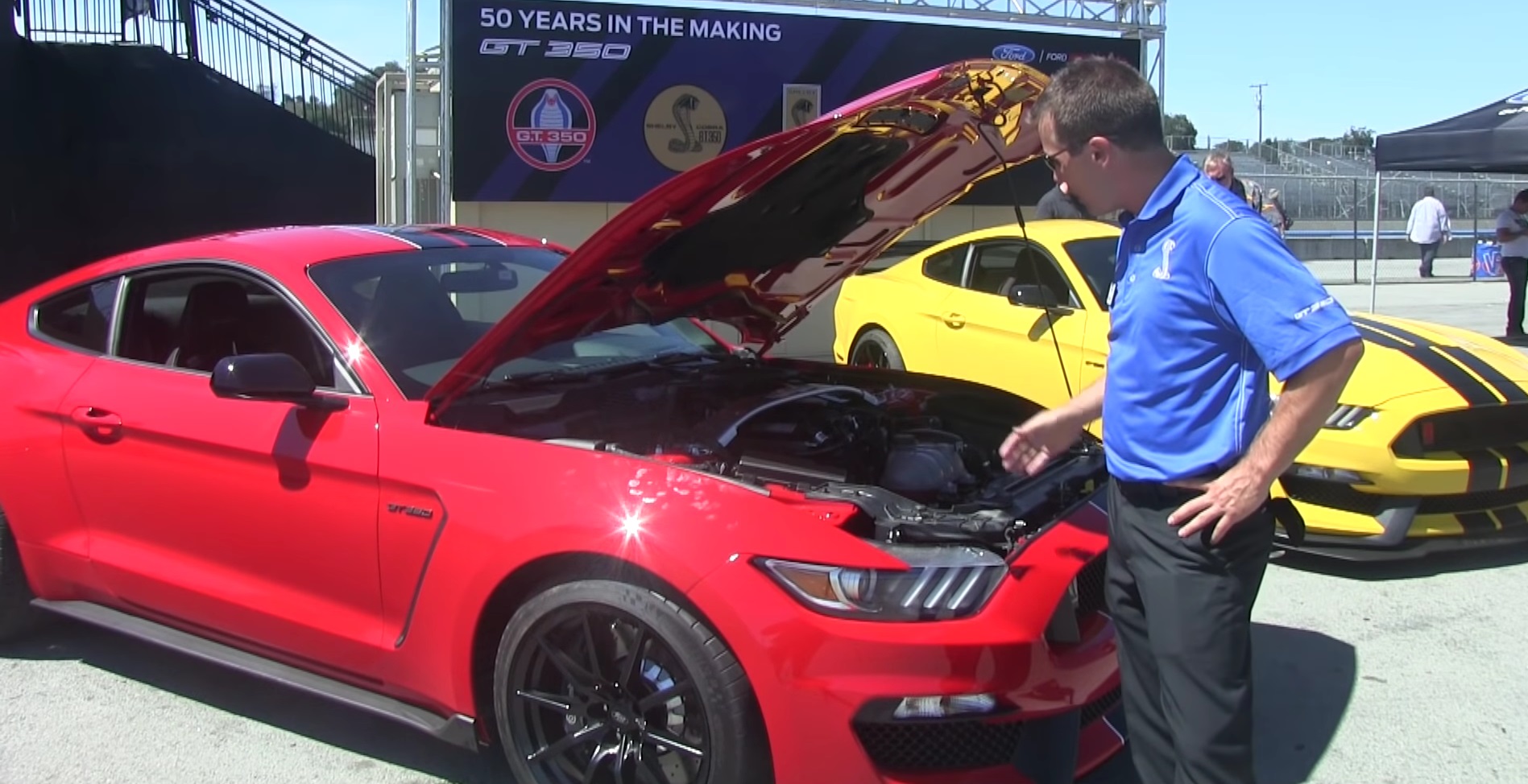 Video: 2016 Ford Mustang Shelby GT350 vs GT350R - Everything You Want to Know