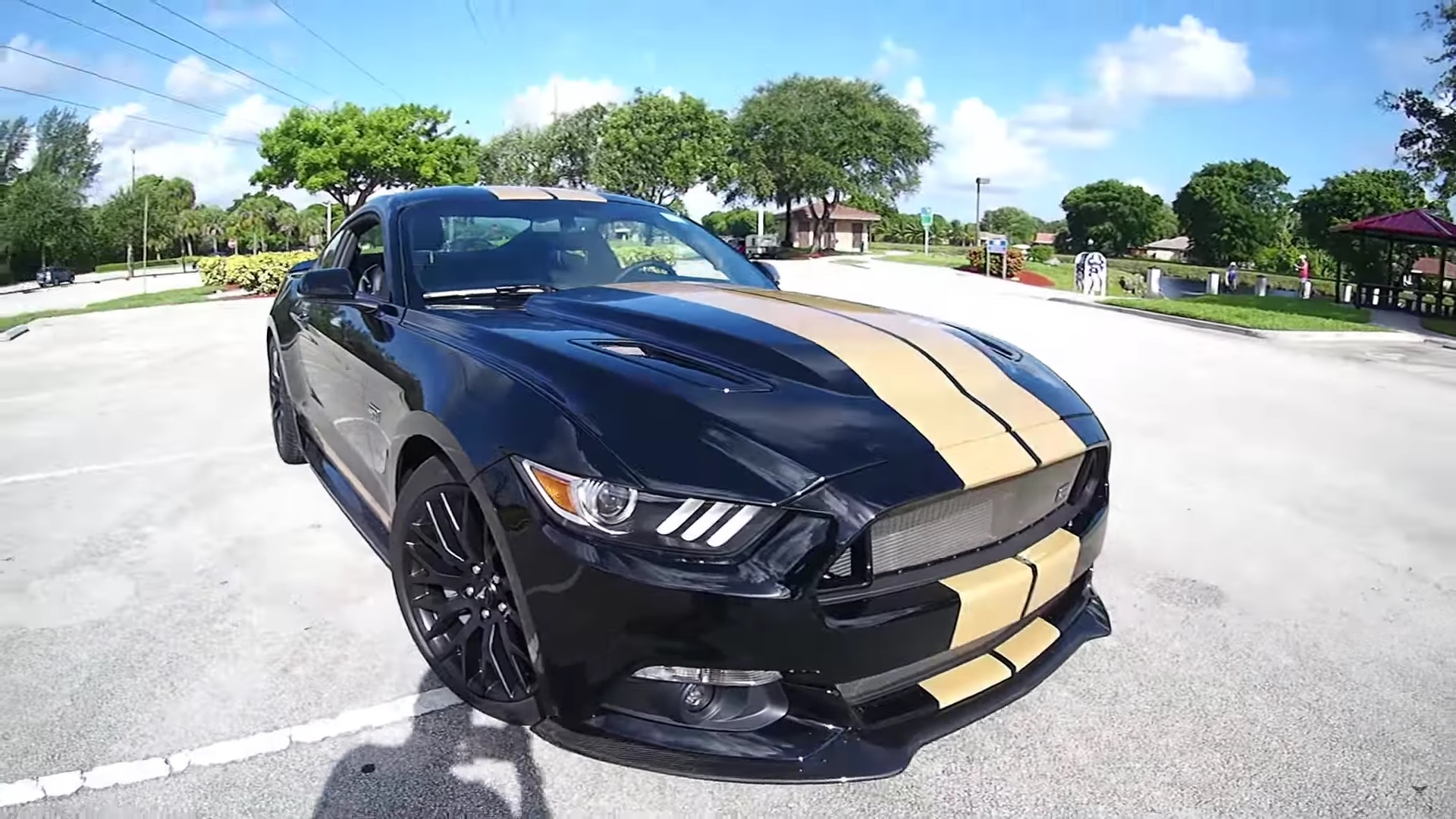 Video: 2016 Ford Mustang Shelby GT-H Loud Revs & Accelerations