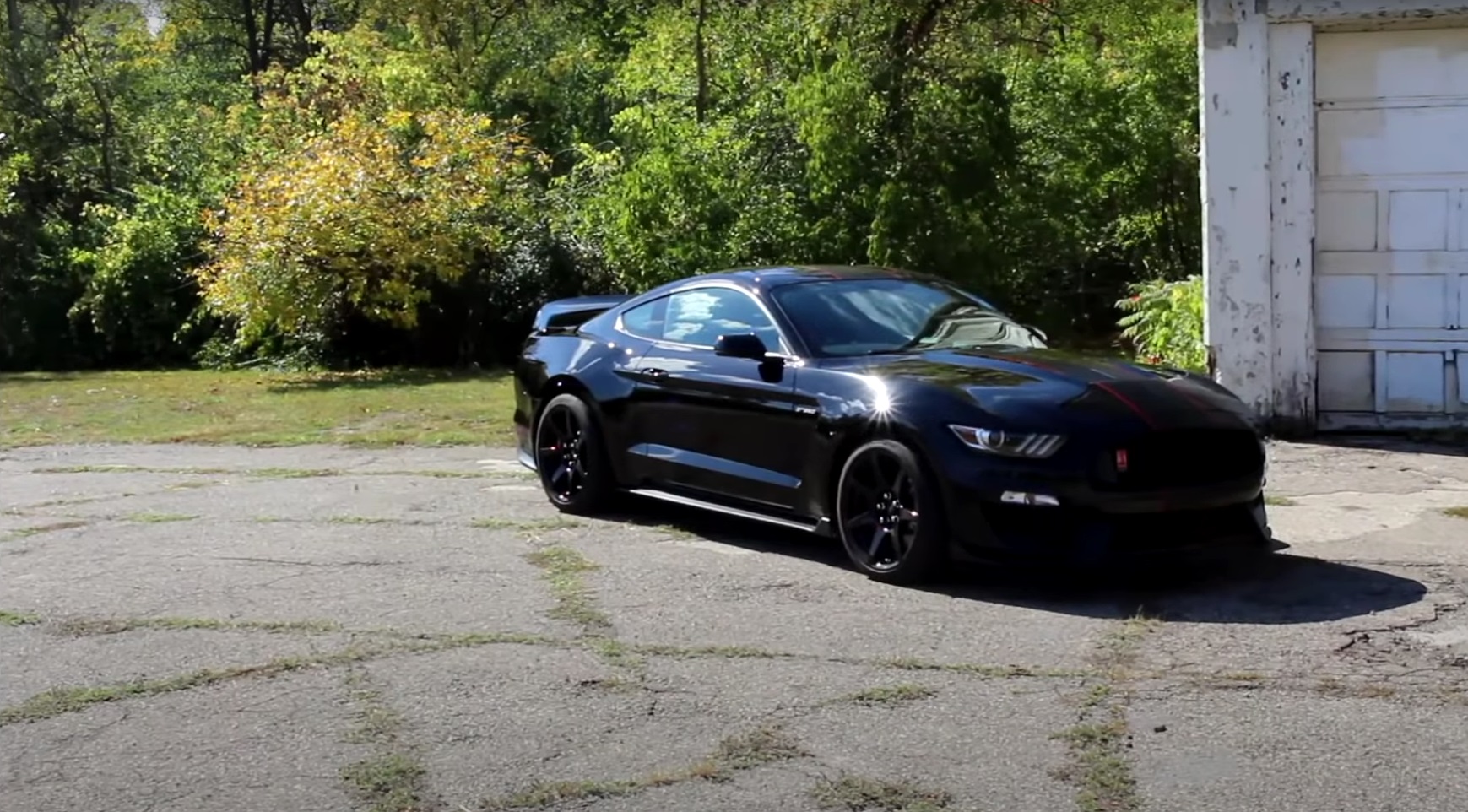 Video: 2018 Ford Mustang Shelby GT350R - A $80,000 Mustang?