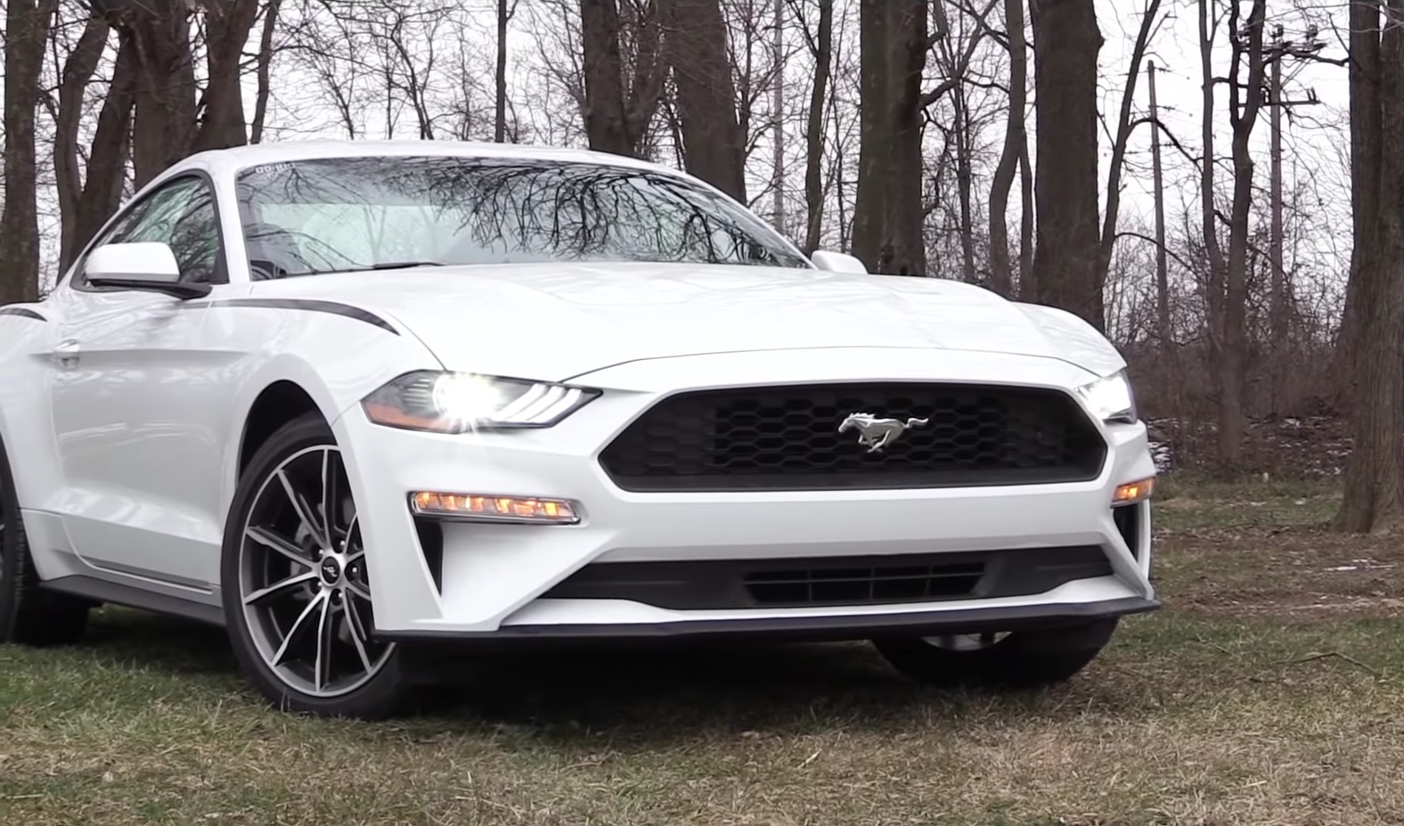 Video: 2019 Ford Mustang Ecoboost In-Depth Review