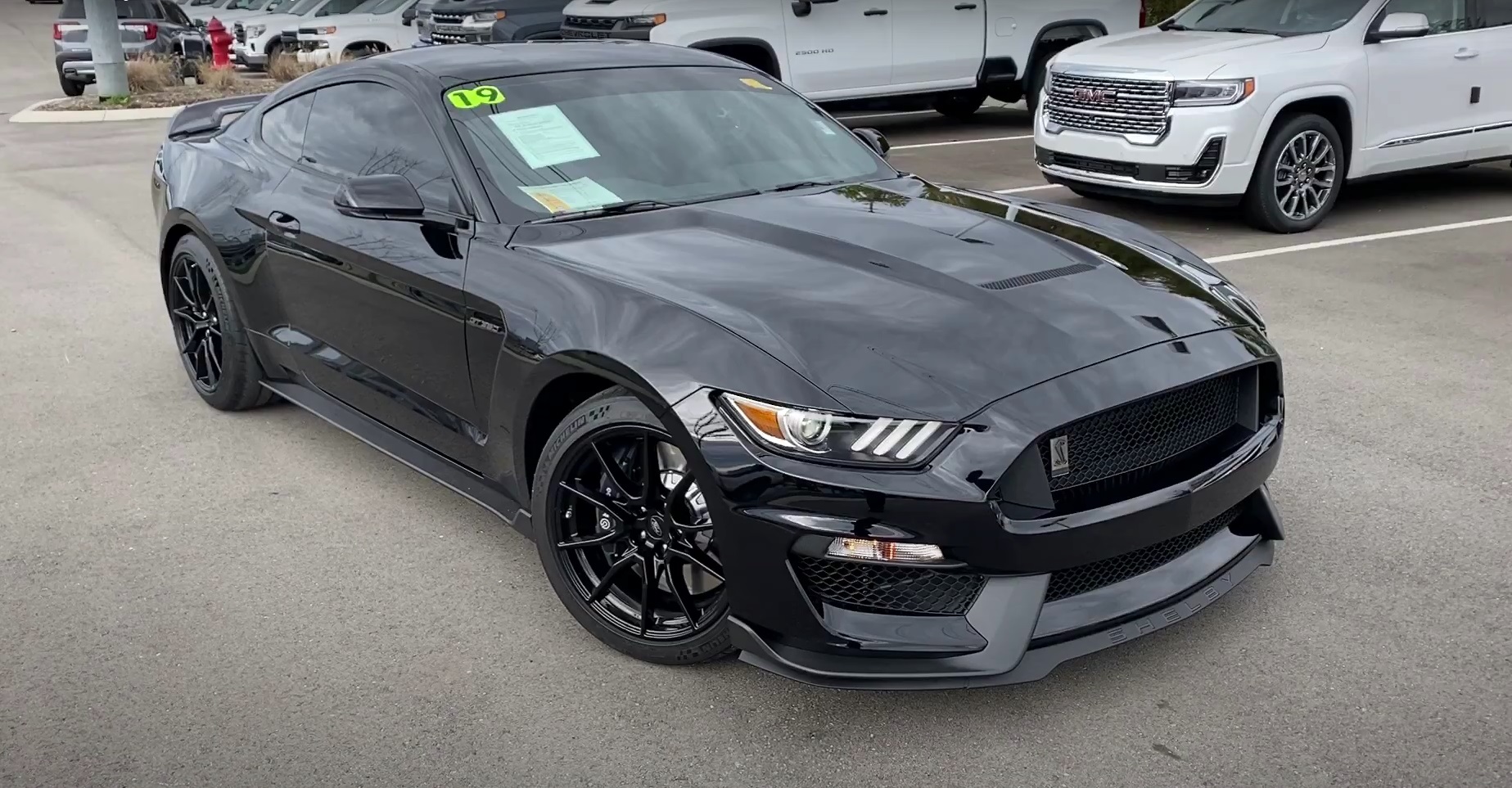 Video: 2019 Ford Mustang Shelby GT350 In-Depth Tour