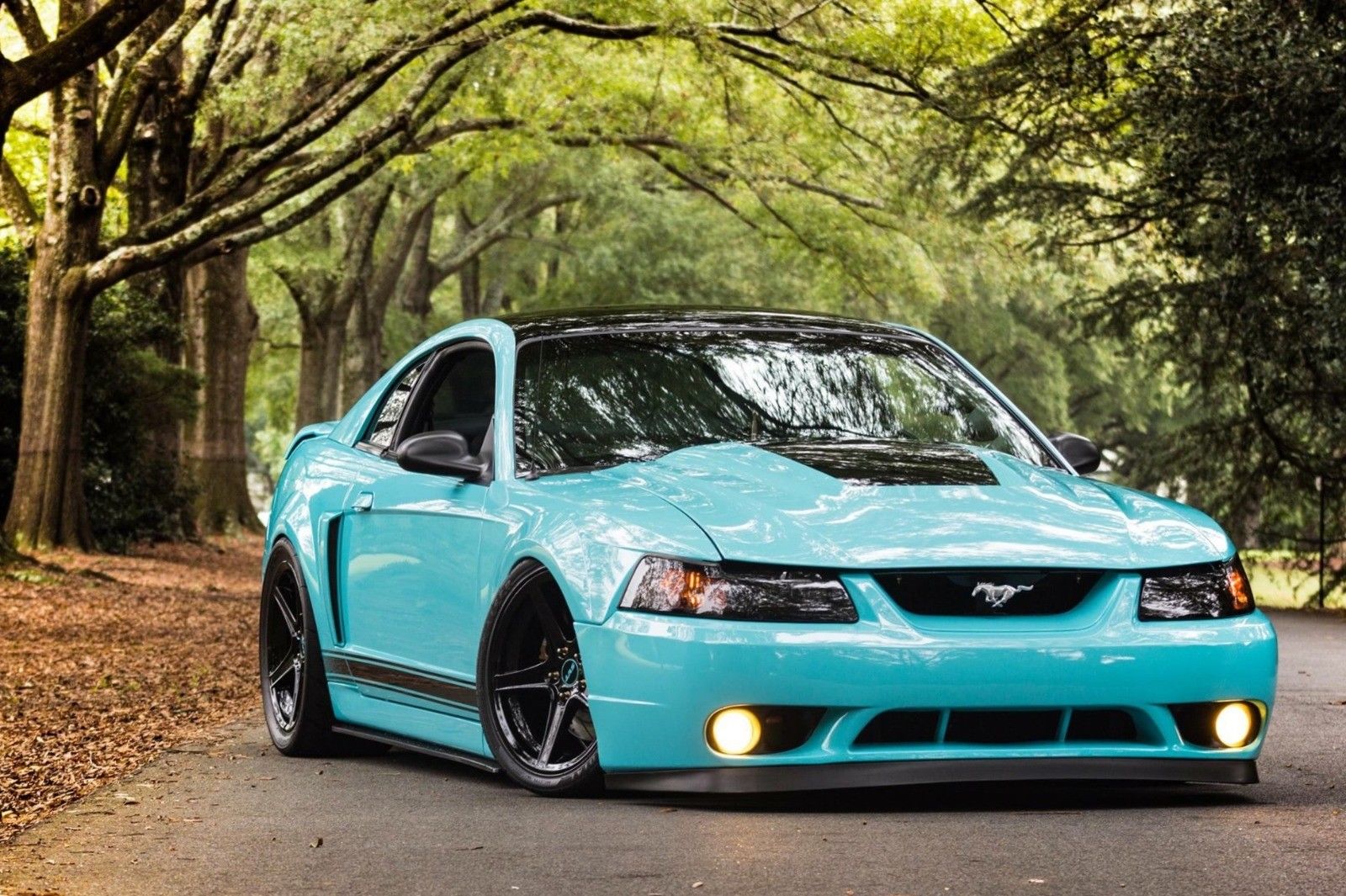 1999 Ford Mustang GT Wallpapers
