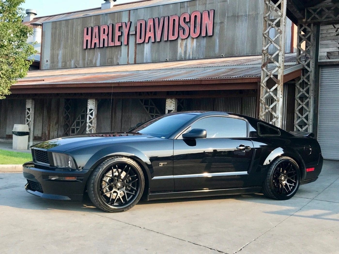 2008 MUSTANG GT visual data 6