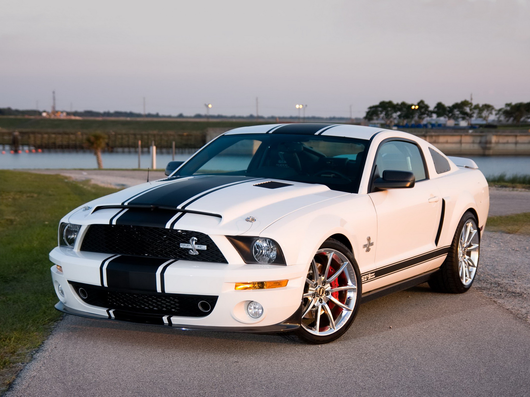 ford mustang shelby gt500 super snake hd