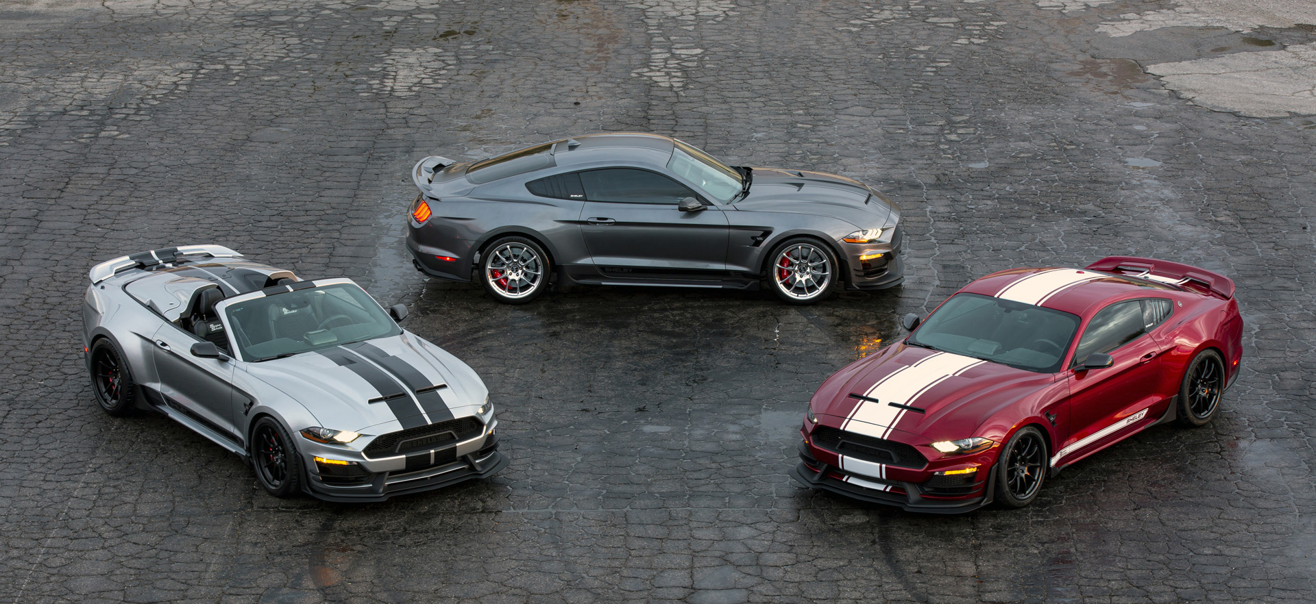 Shelby AMerican "A Bundle Of Snakes"