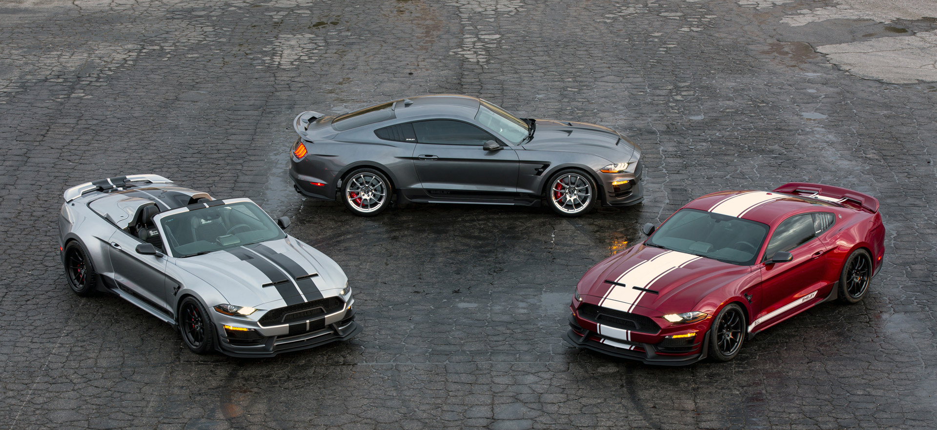 A Bundle Of Snakes Mustangs For Carroll Shelby S Birthday Mustangspecs Com