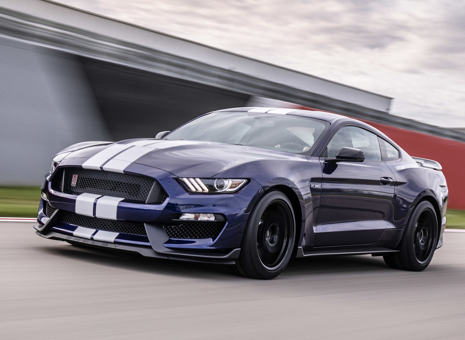 Blue and white 2019 Ford Mustang GT350