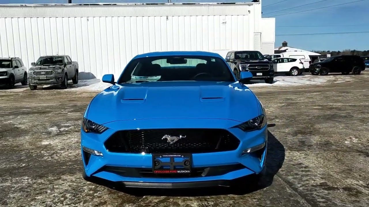 2022 Blue Mustang V6