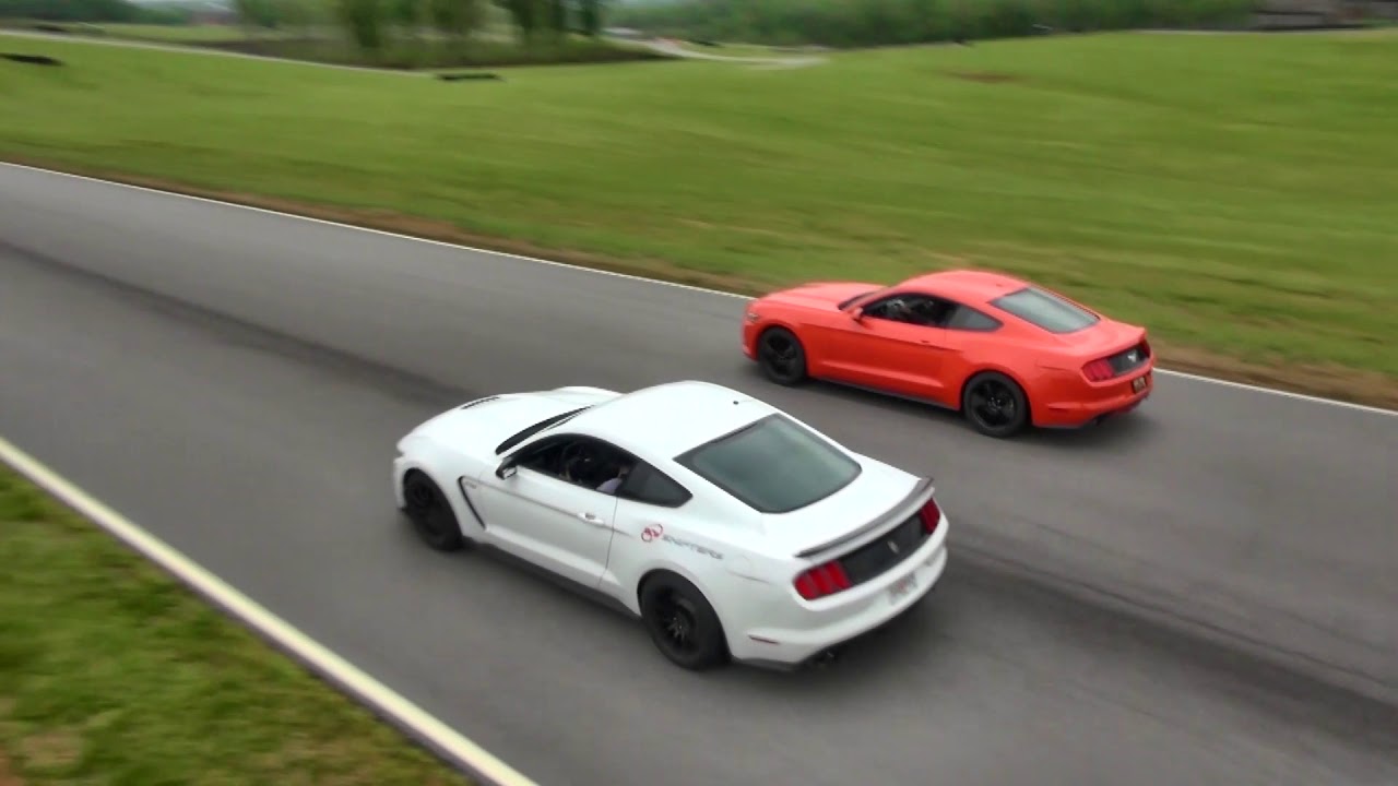 2016 GT350 Mustang Vs 2015 EcoBoost Mustang