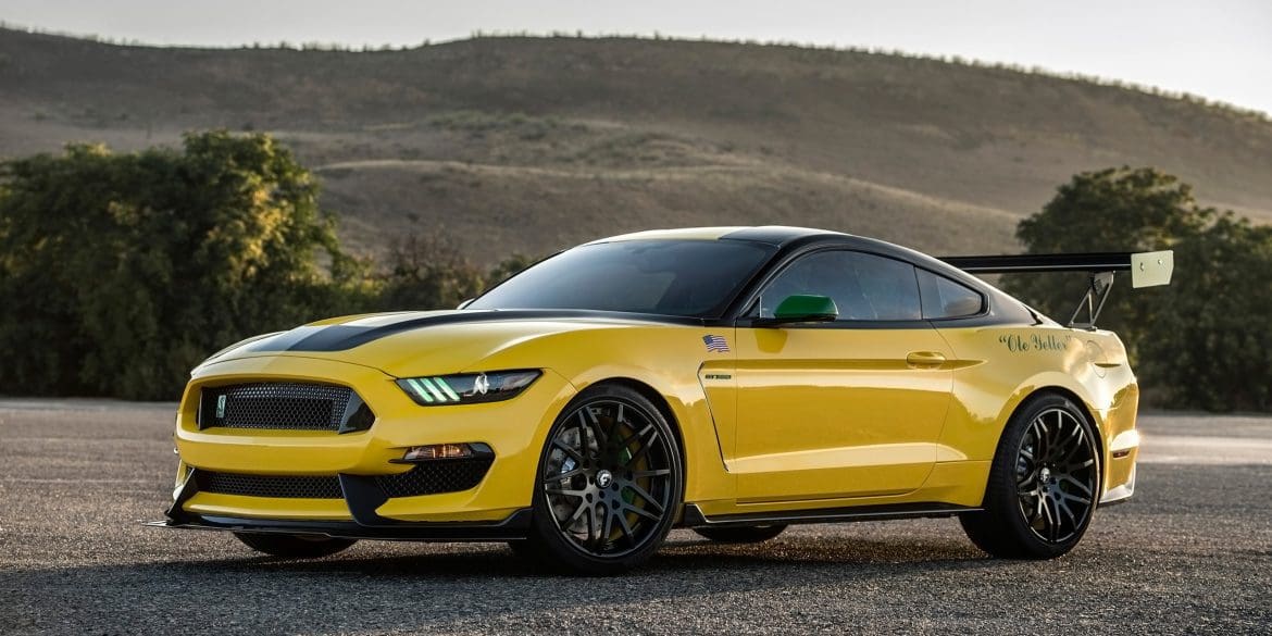 Mustang Of The Day: 2016 Ford Mustang Ole Yeller