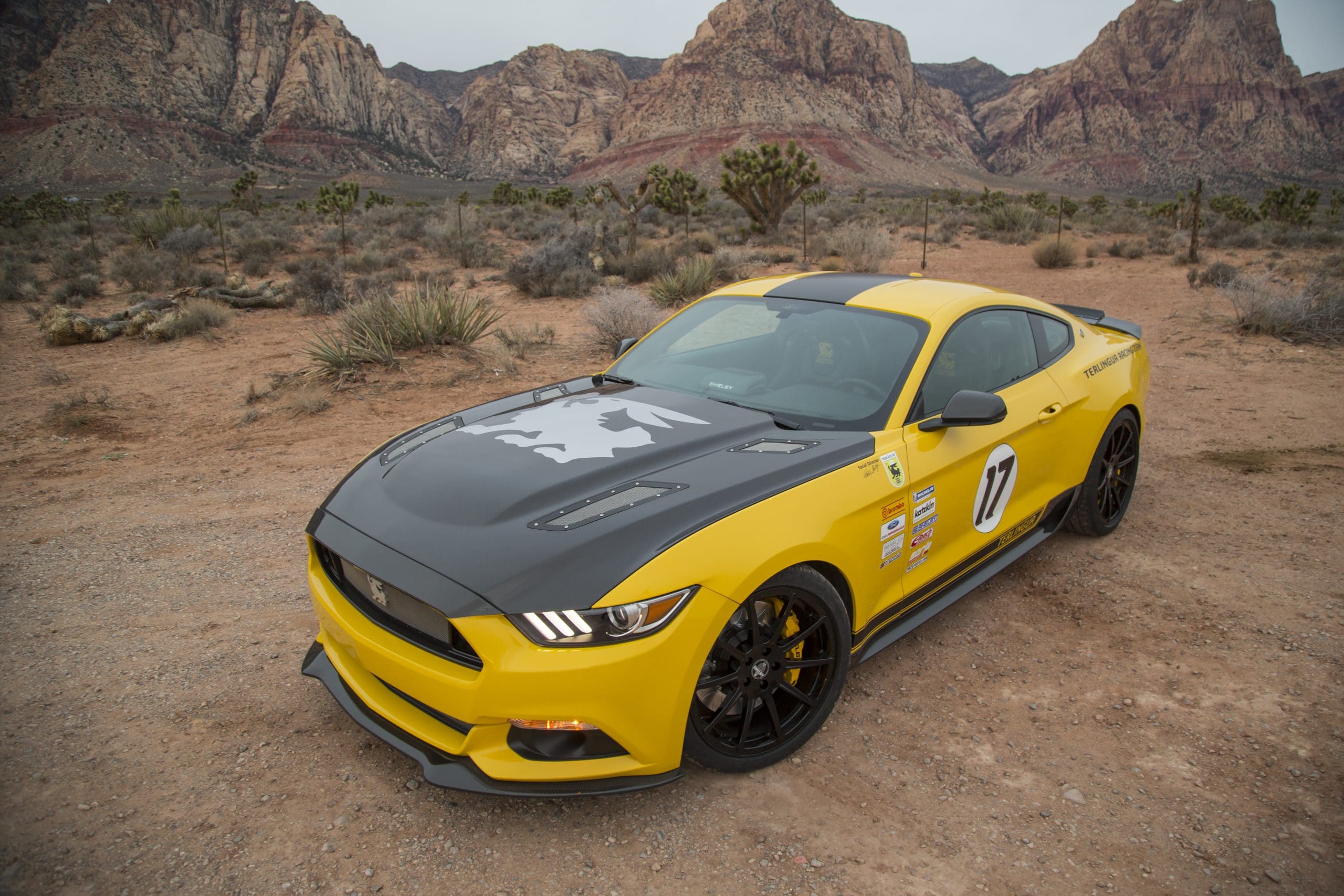 Mustang Of The Day: 2016 Ford Mustang Shelby Terlingua