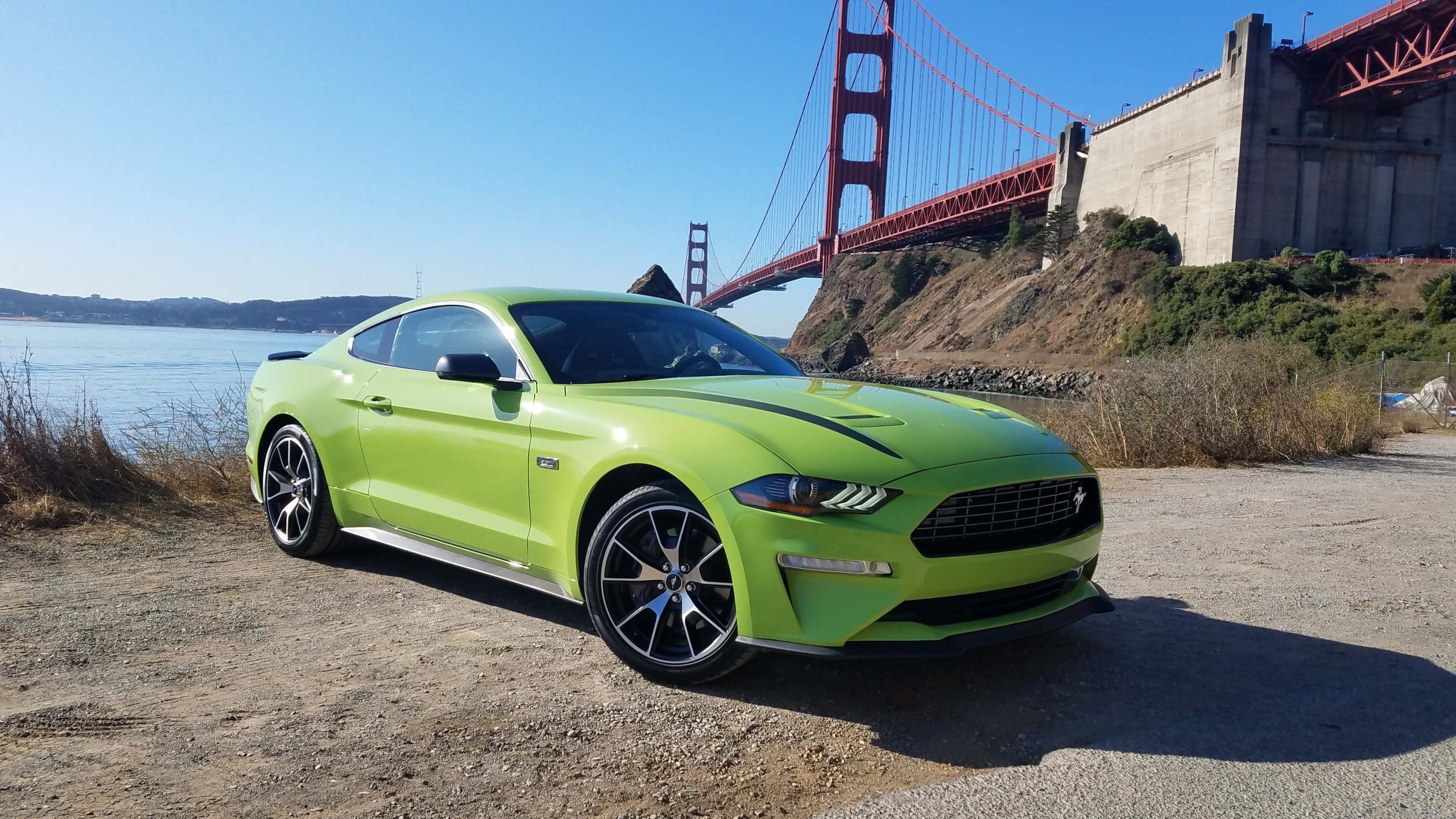 Mustang Of The Day: 2020 Ford Mustang EcoBoost High Performance