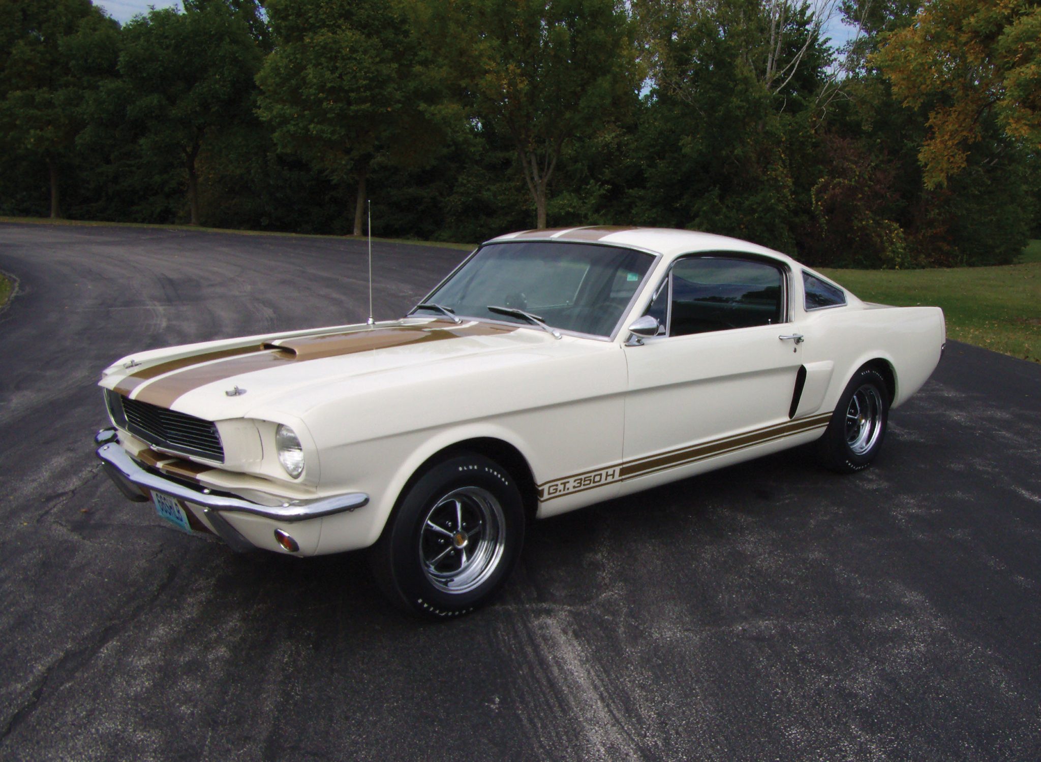 Mustang Of The Day: 1966 Shelby Mustang GT350-H