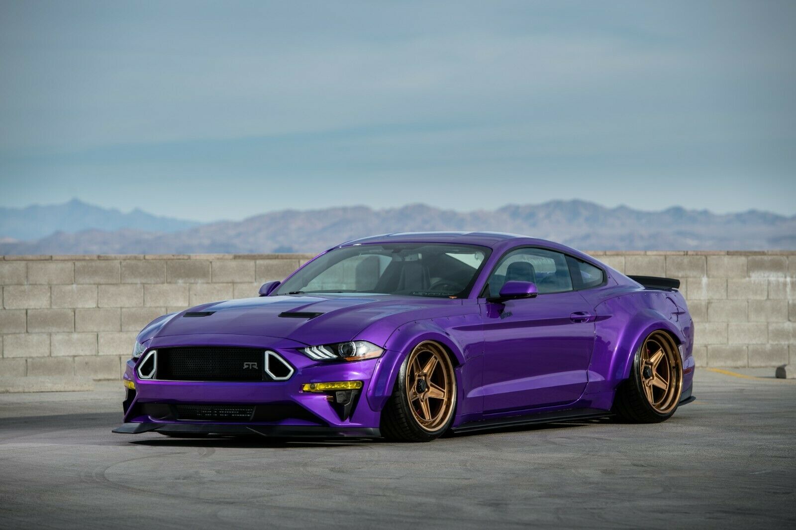 Mustang Of The Day: TJIN Edition 2019 Ford Mustang