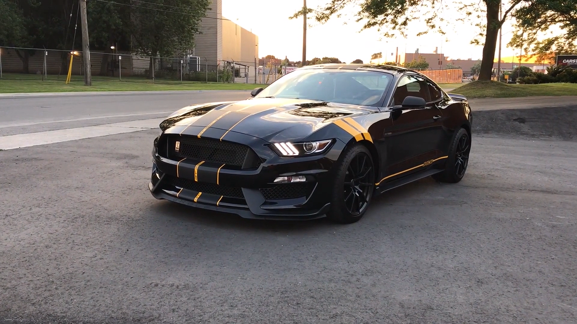 Sleek Shelby Mustang GT350 With Custom Stripes