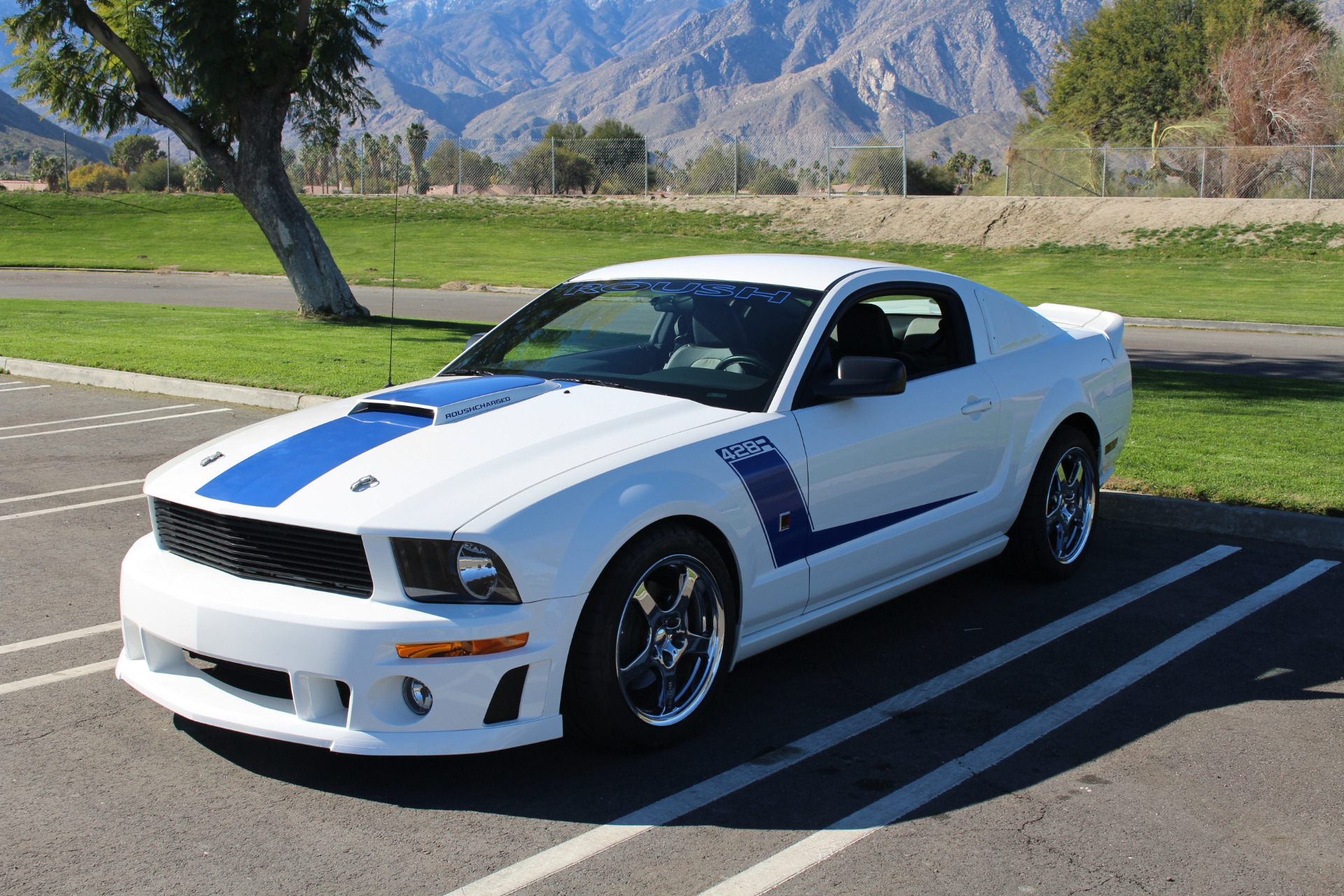 Mustang Of The Day: 2008 ROUSH 428R Mustang