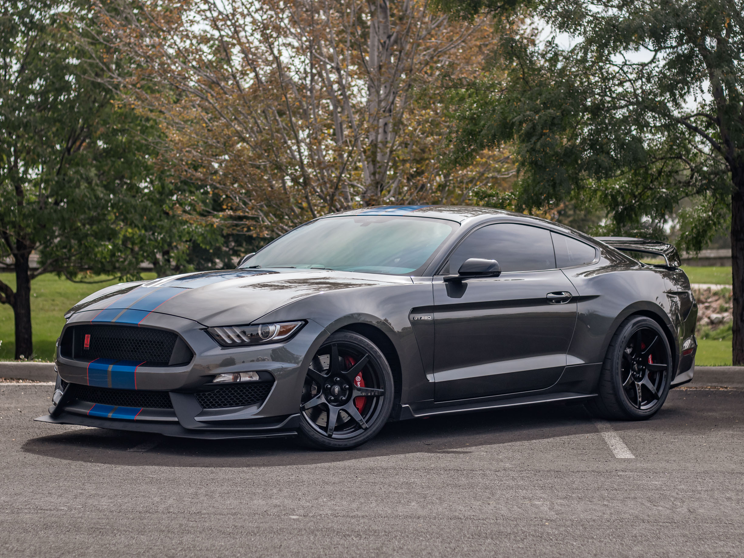 Mustang Of The Day: 2017 Ford Mustang Shelby GT350R