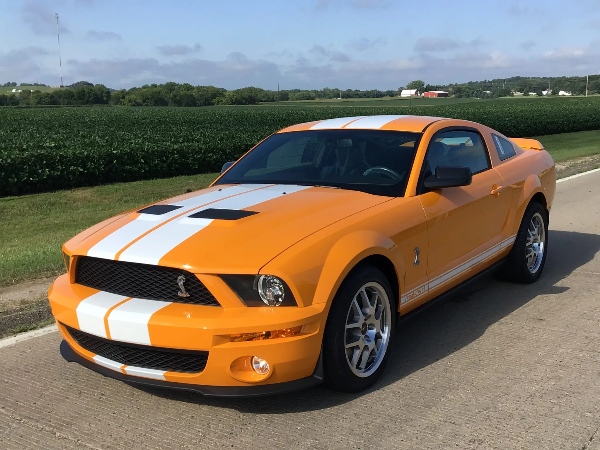 2008 Ford Mustang Shelby GT500