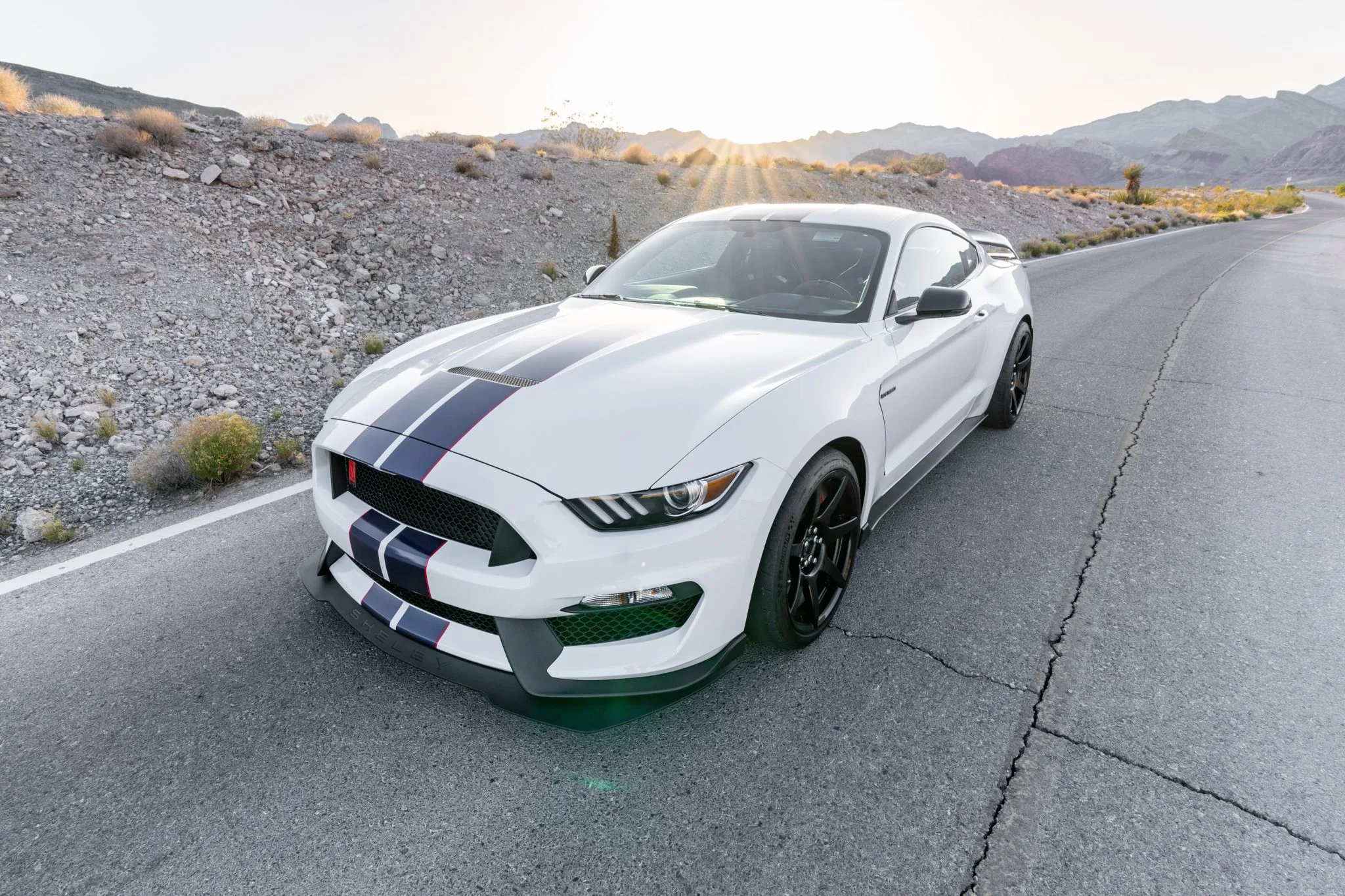 Mustang Of The Day: 2016 Ford Mustang Shelby GT350R