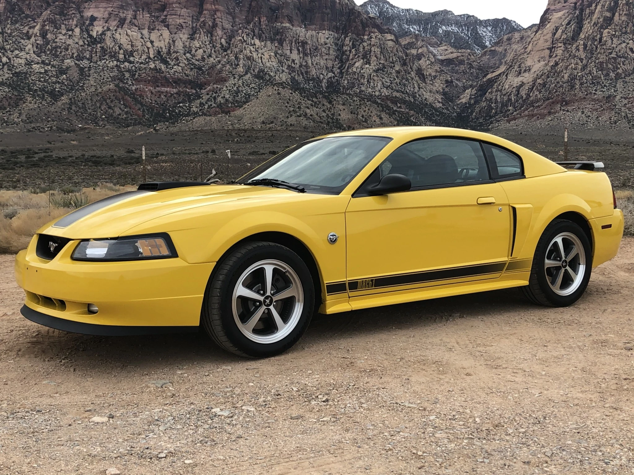 Mustang Of The Day: 2004 Ford Mustang Mach 1