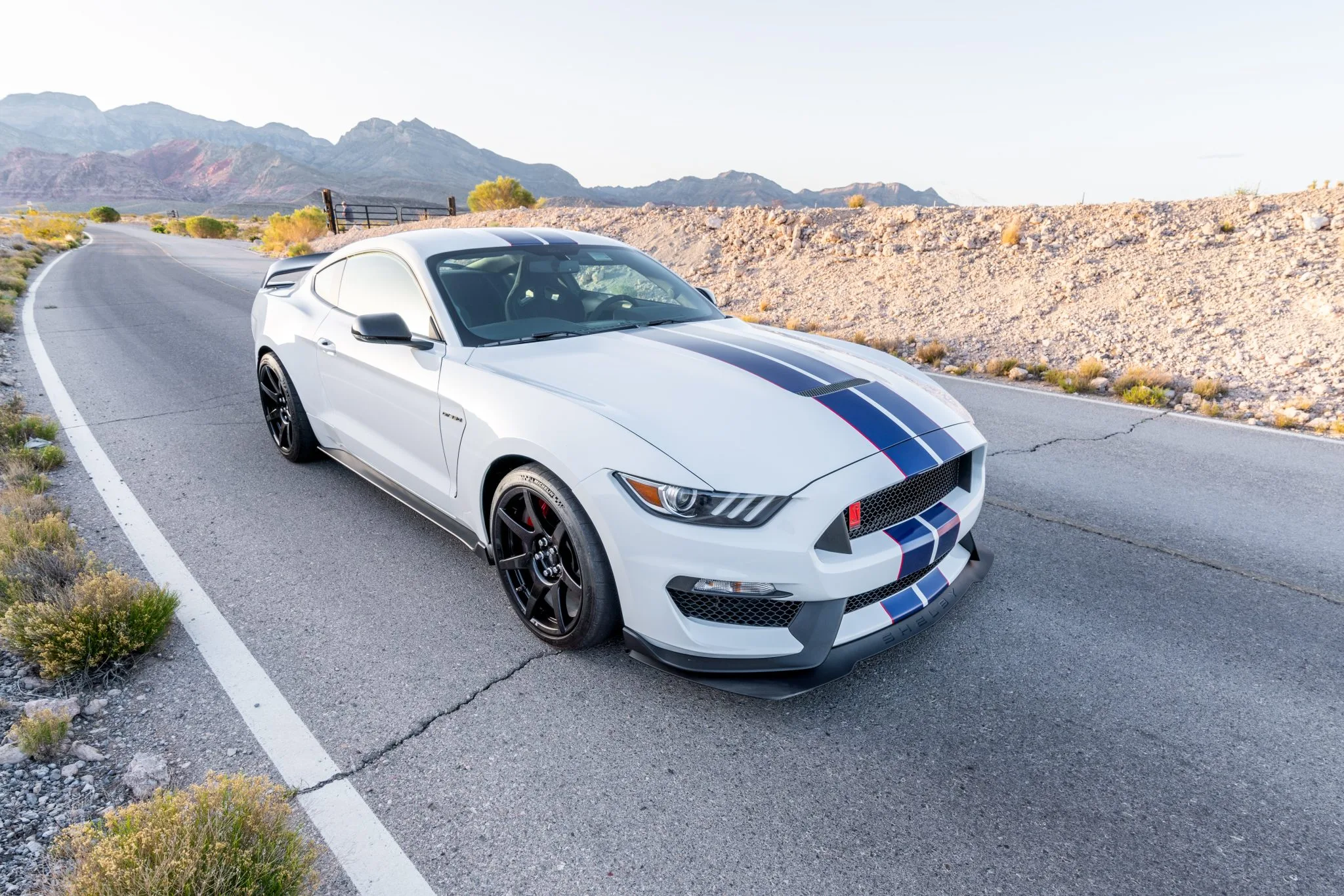 Mustang Of The Day: 2016 Ford Mustang Shelby GT350R