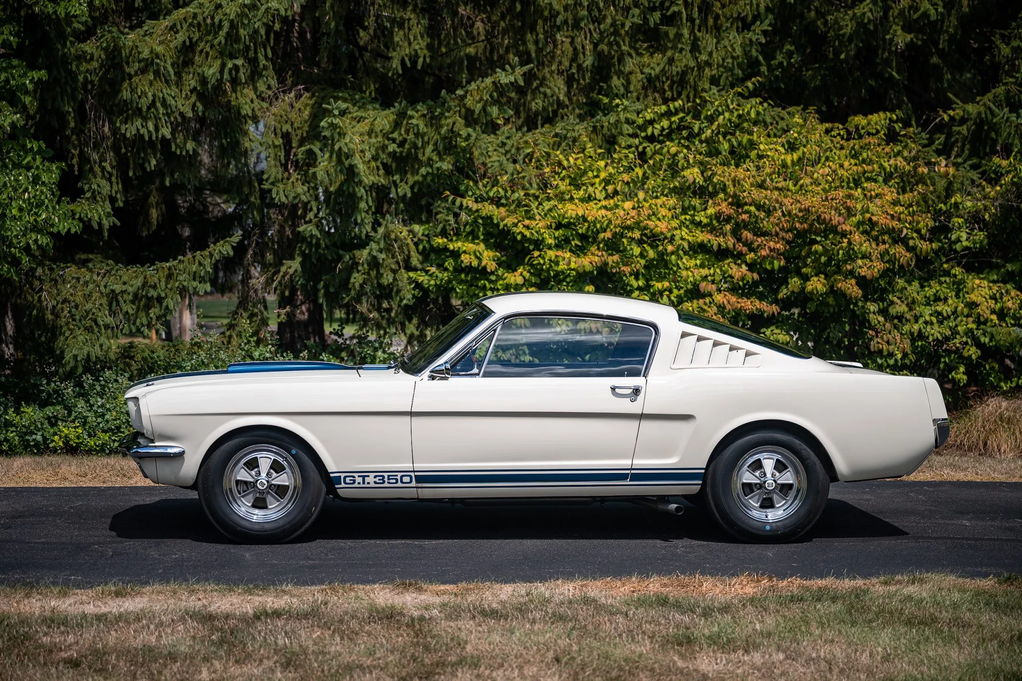This 1965 Shelby Mustang GT350 Could Be Yours!