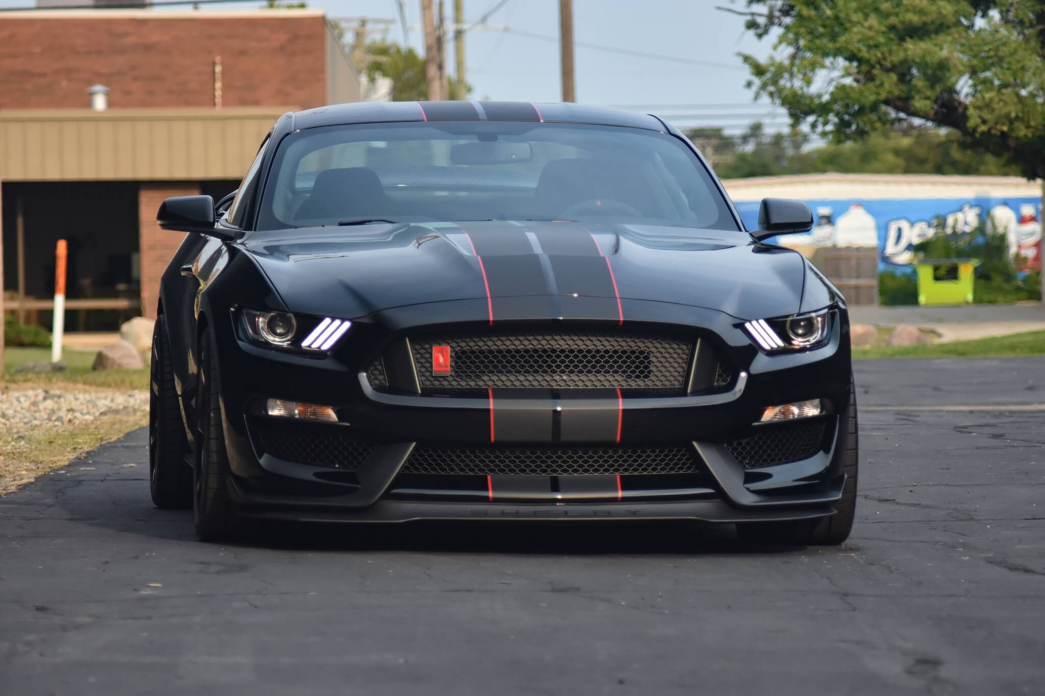Shadow Black 2016 Ford Mustang GT350R Open For Bids