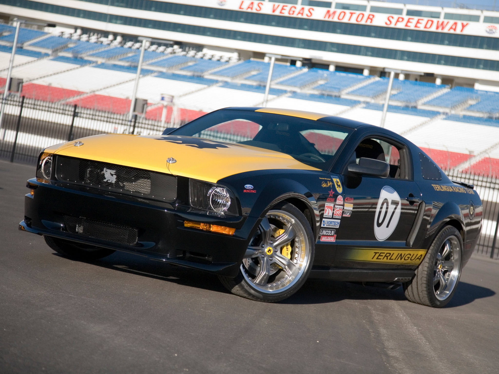 Mustang Of The Day: 2008 Ford Mustang Shelby Terlingua