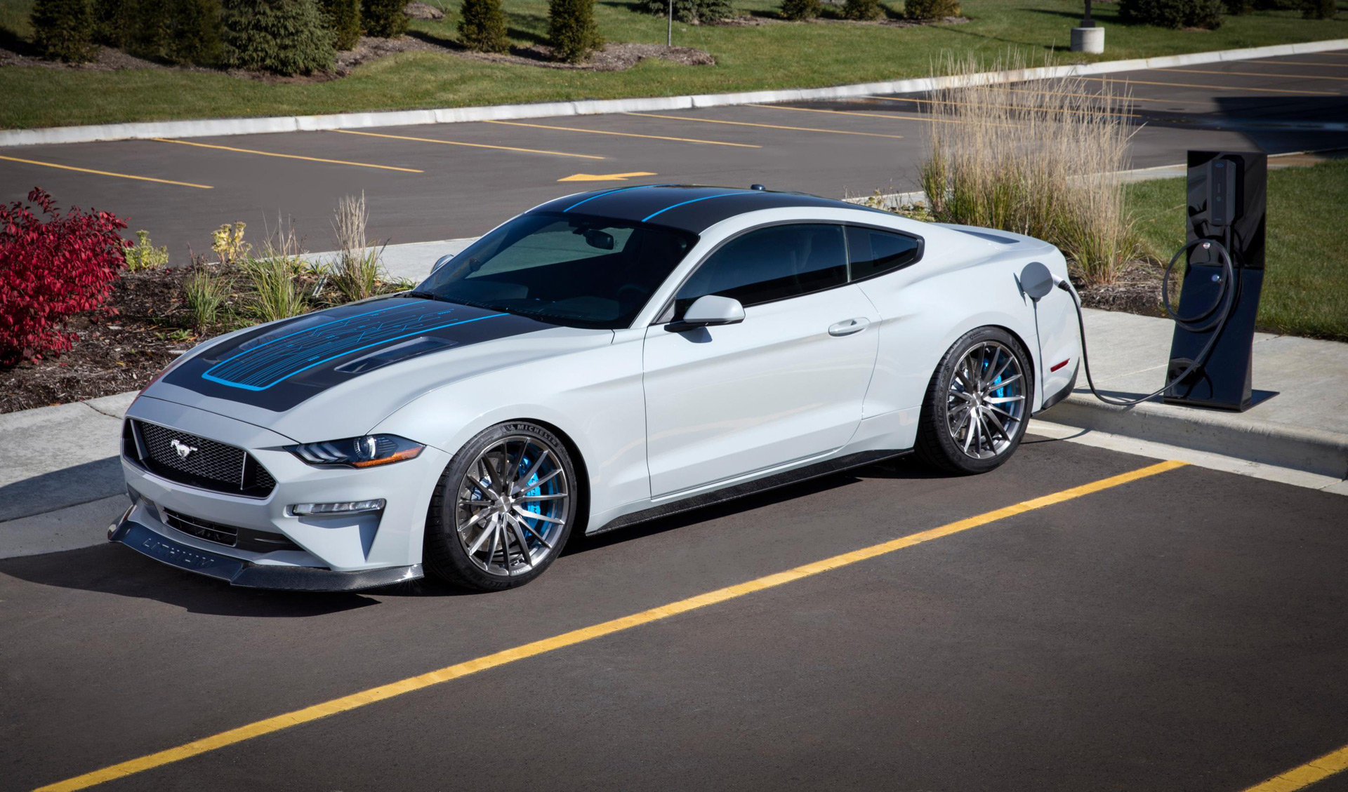 Mustang Of The Day: 2019 Lithium Mustang
