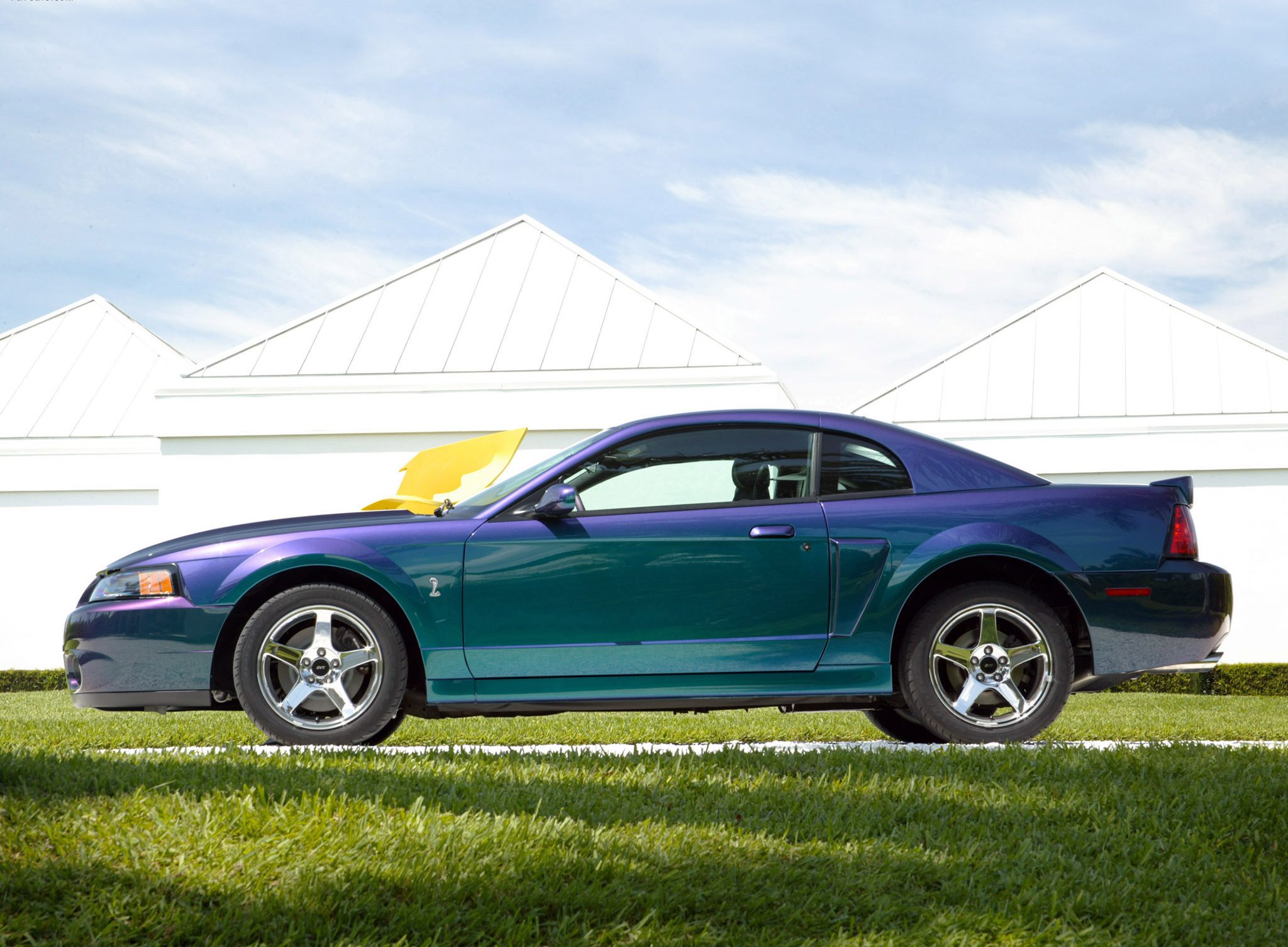 Mustang Of The Day: 2004 Ford Mustang SVT Cobra Mystichrome