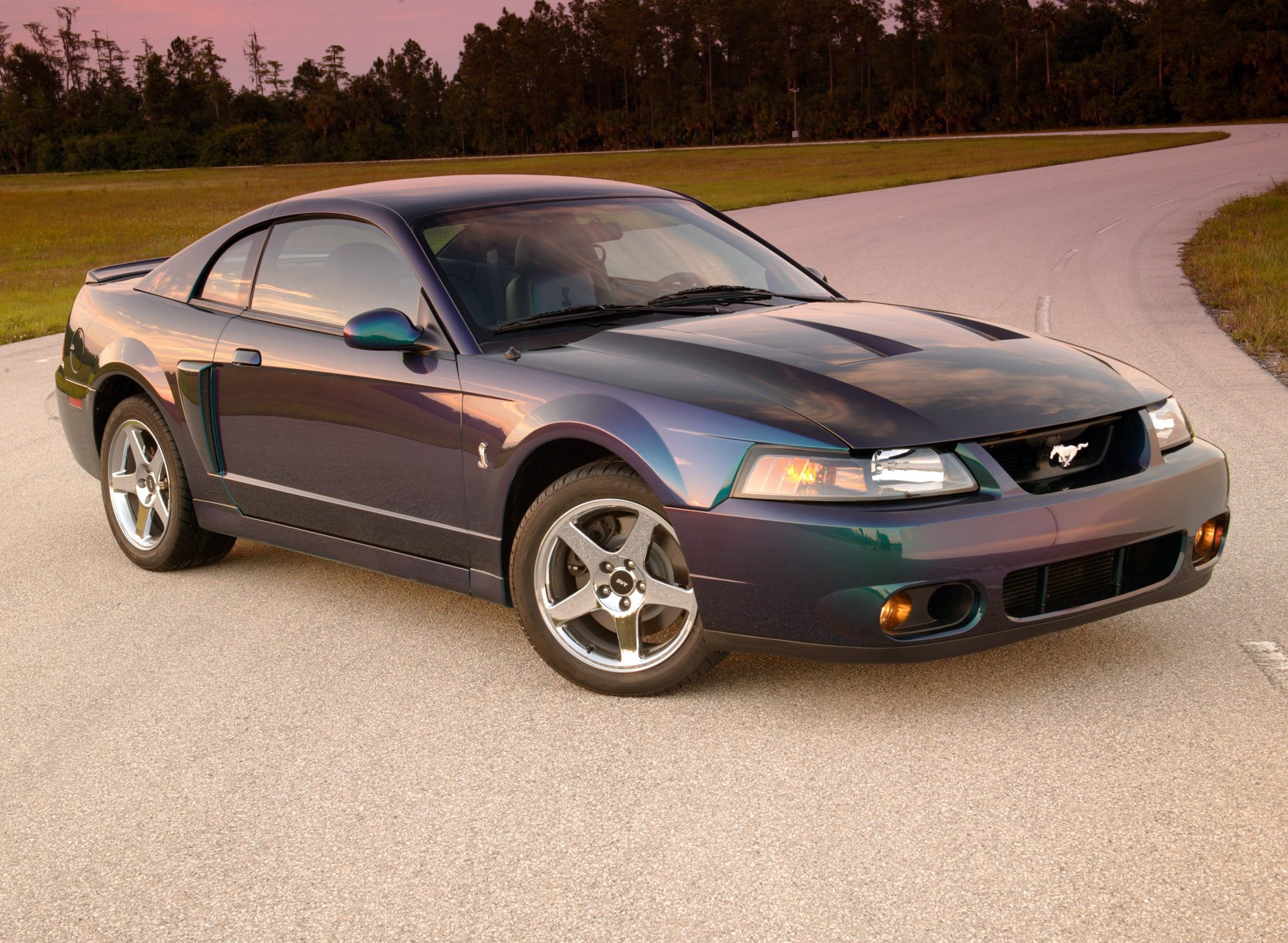 Mustang Of The Day: 2004 Ford Mustang SVT Cobra Mystichrome
