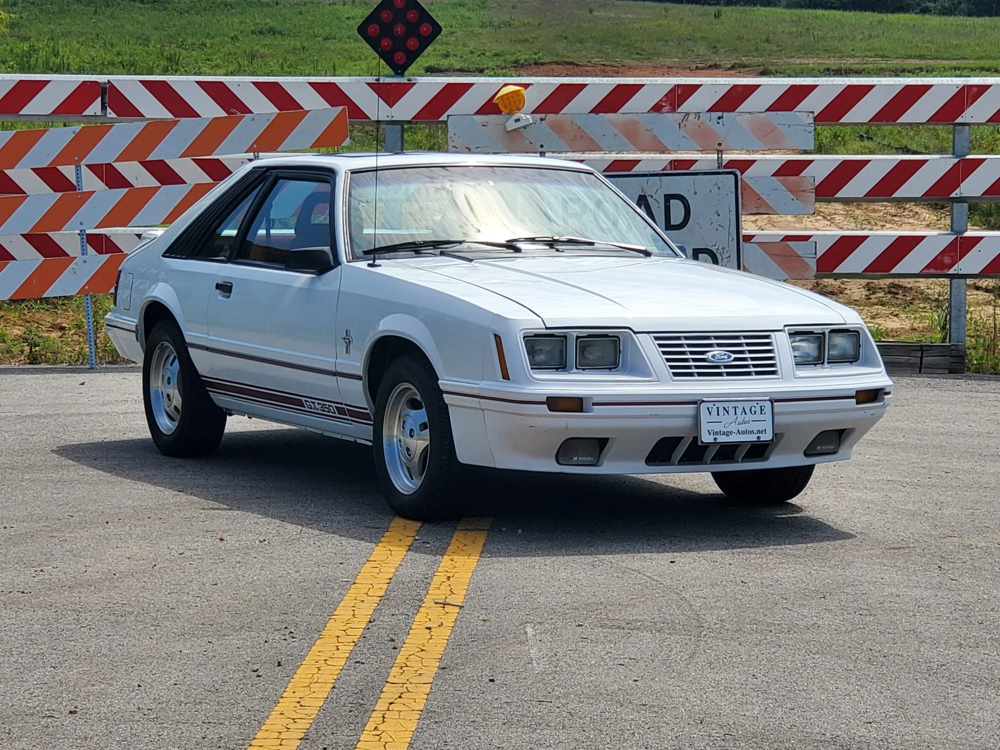 Mustang Of The Day: 1984 Ford Mustang GT350 20th Anniversary Edition