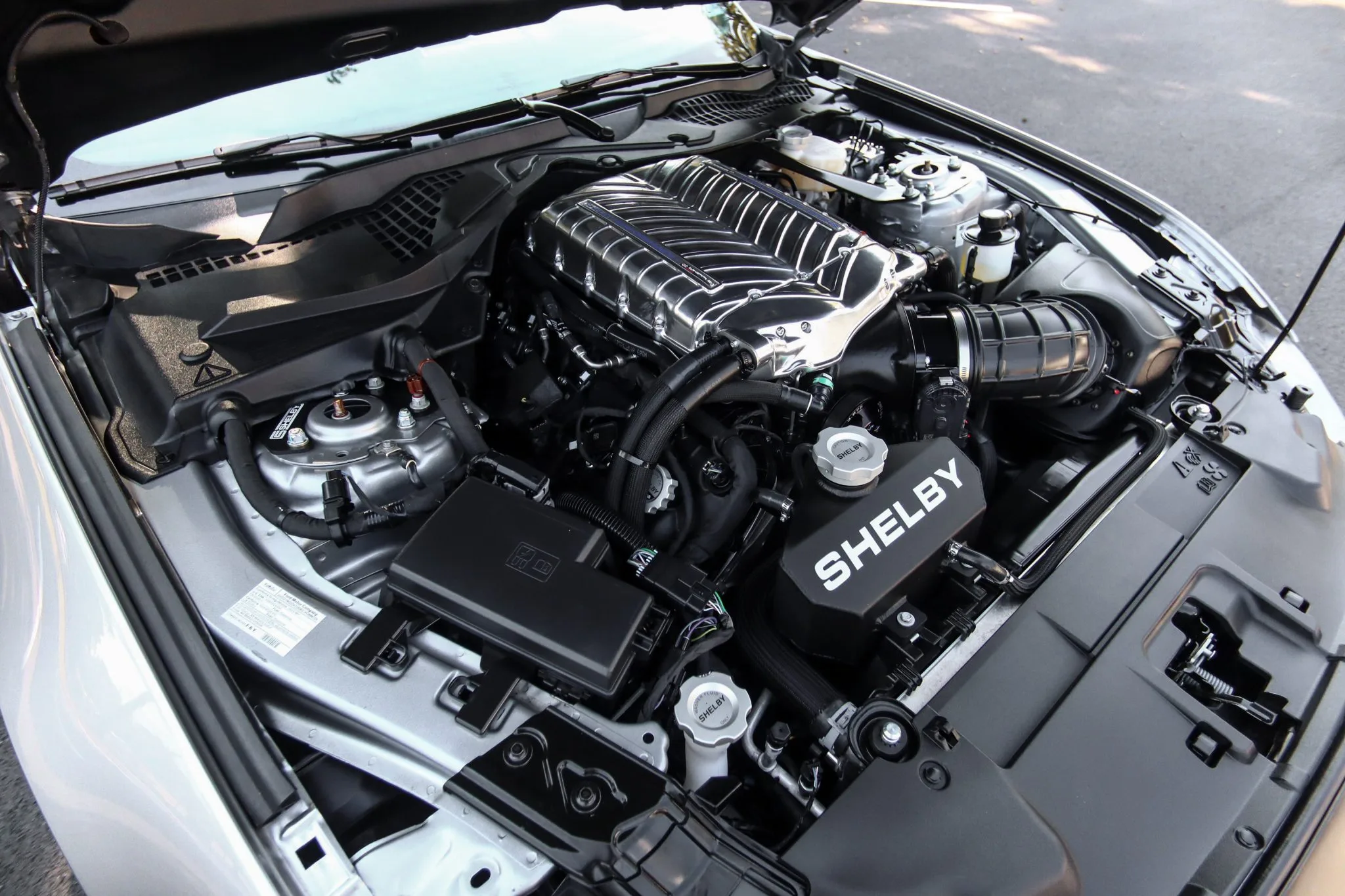 Limited Edition 2021 Ford Shelby Mustang Super Snake Speedster Up For Grabs!