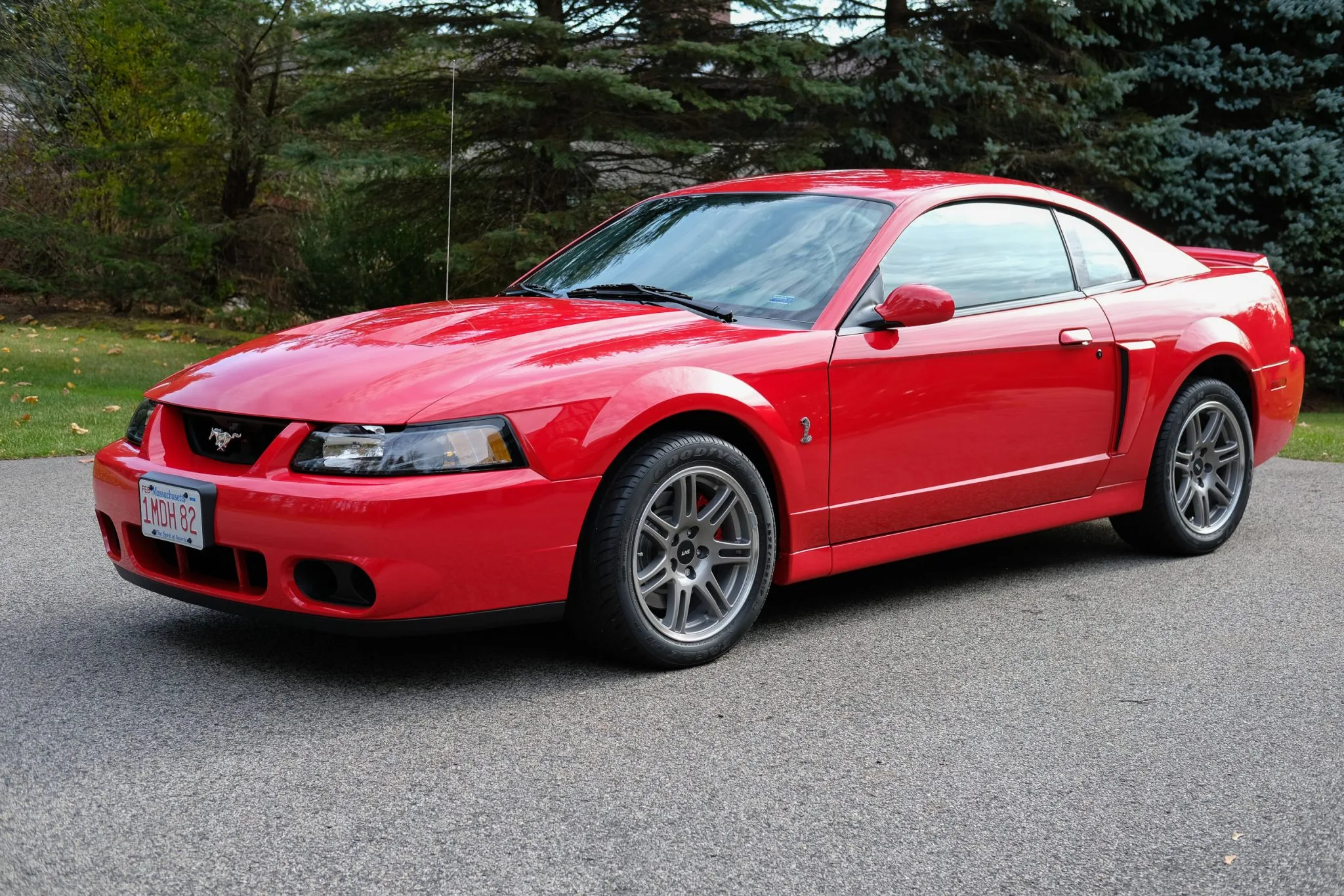 Mustang Of The Day: 2003 Ford Mustang SVT Cobra 10th Anniversary