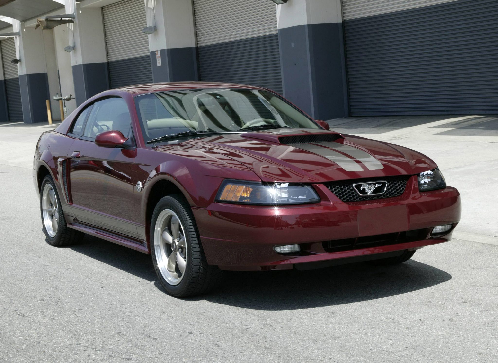 Mustang Of The Day: 2004 Ford Mustang 40th Anniversary Trim Package