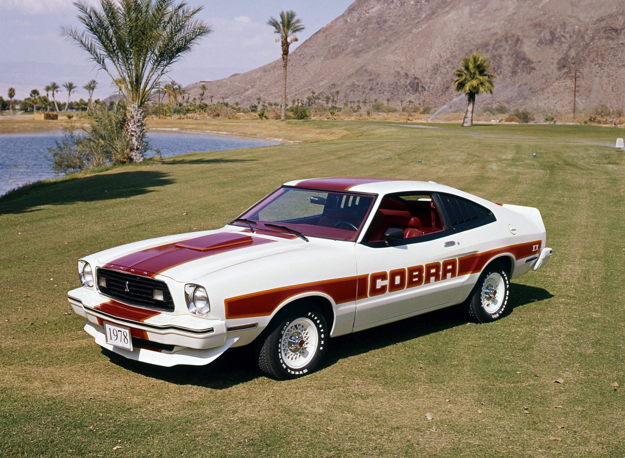 Mustang Of The Day: 1978 Ford Mustang Cobra II