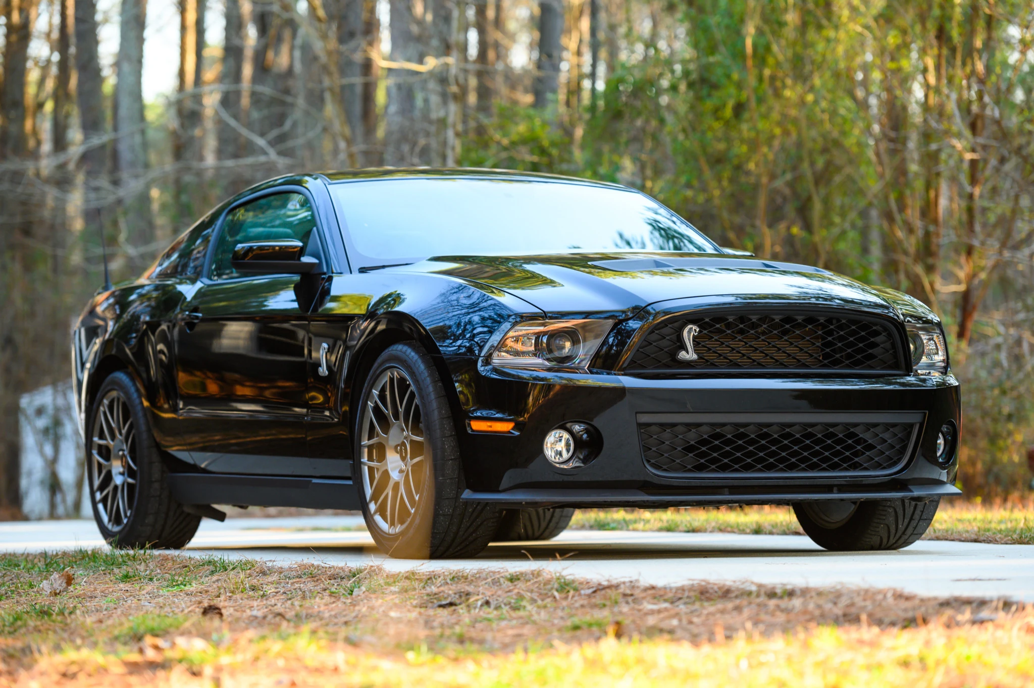 Mustang Of The Day: 2011 Ford Mustang Shelby GT500