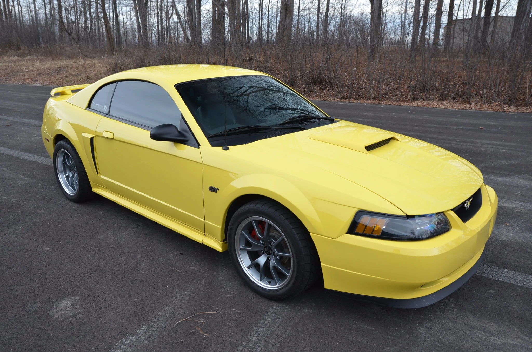 Mustang Of The Day: 2001 Ford Mustang GT