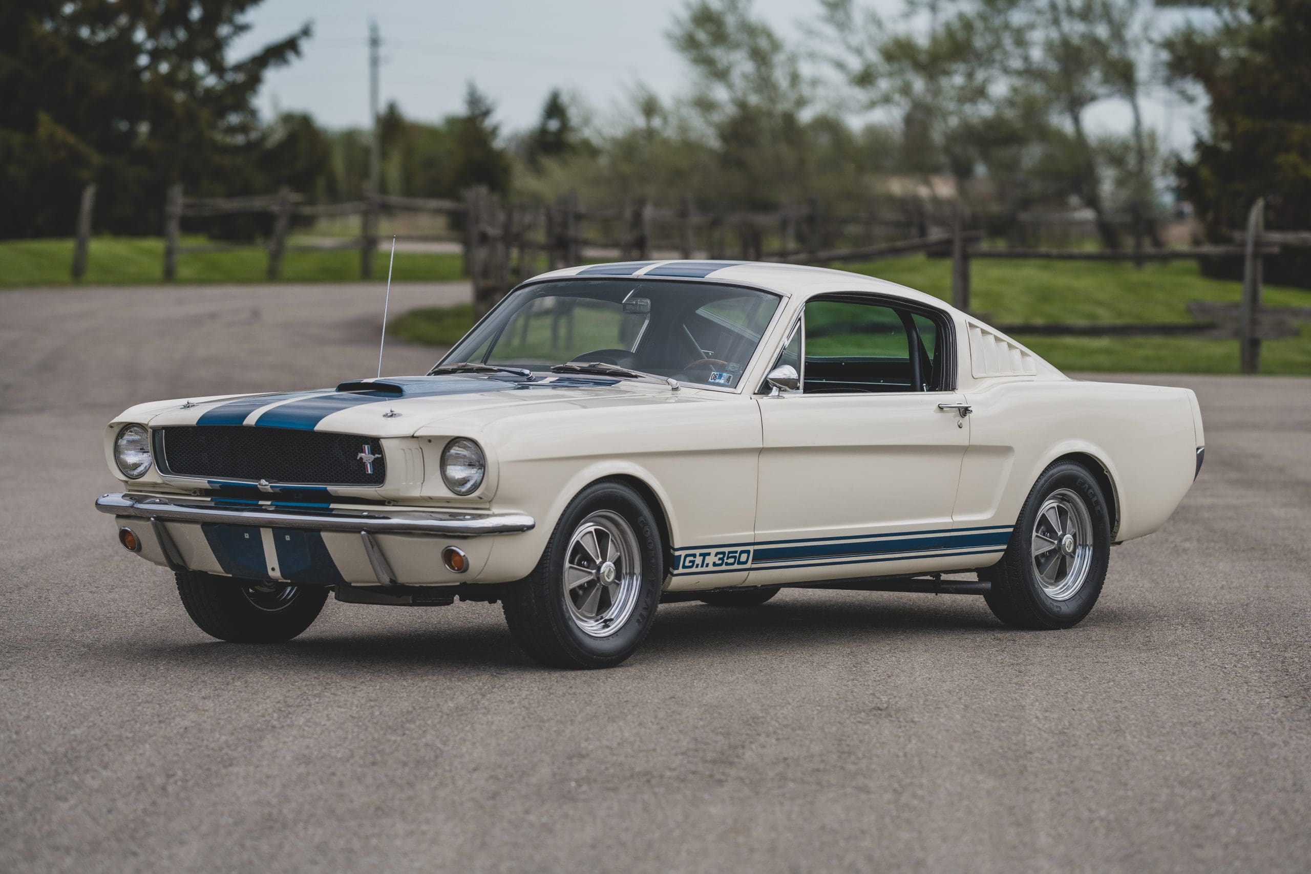 Mustang Of The Day: 1965 Ford Mustang Shelby GT350