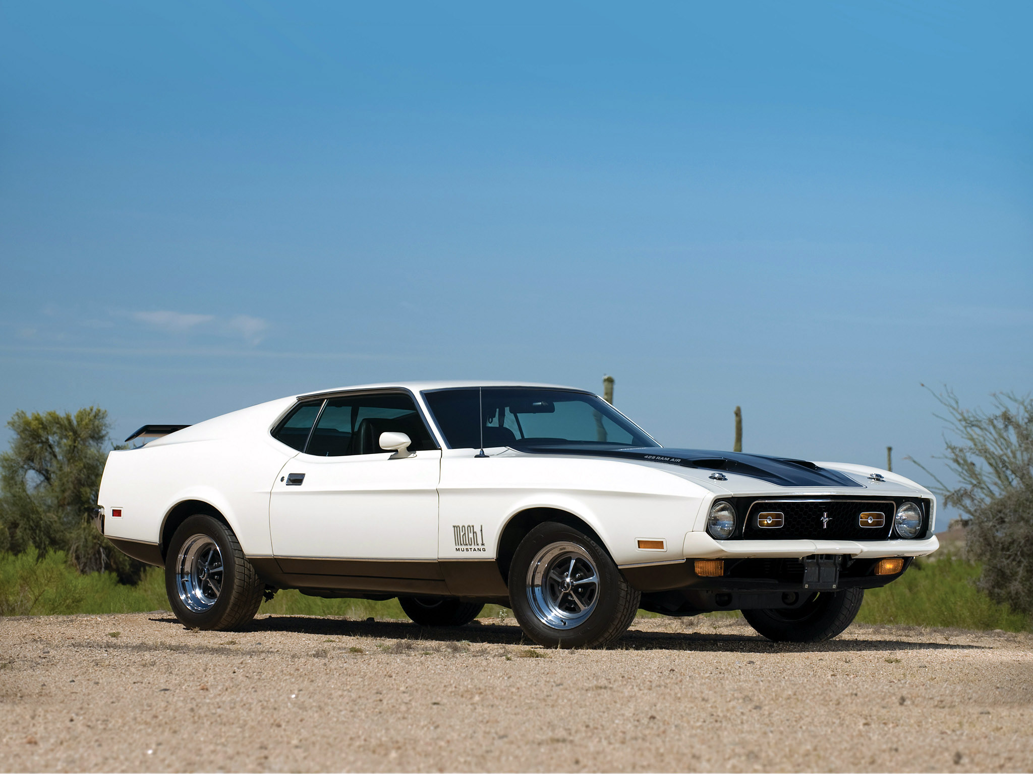 Mustang Of The Day: 1972 Ford Mustang Mach 1