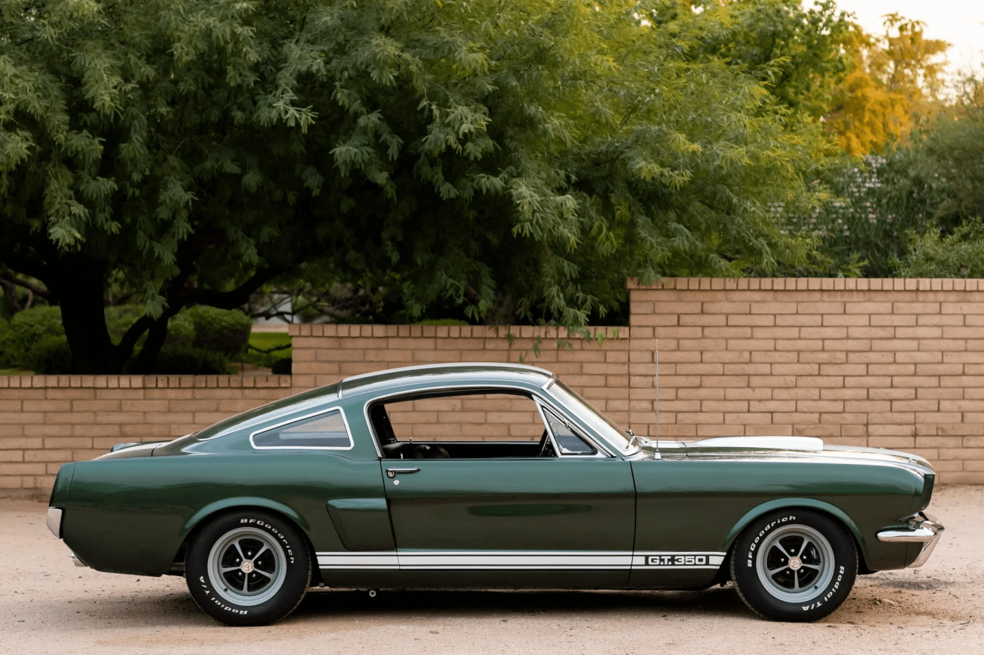 1966 Shelby GT350 Ivy Green (RUSTED) 1/24 Diecast Modellauto