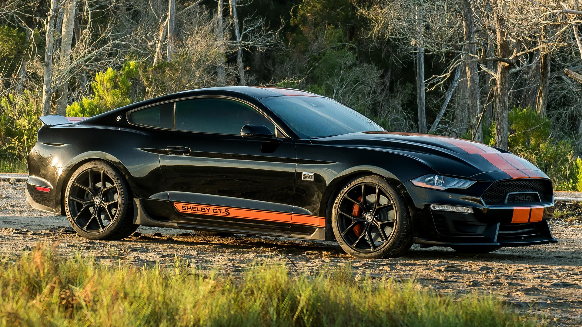 Mustang Of The Day: 2019 Ford Mustang Shelby GT-S