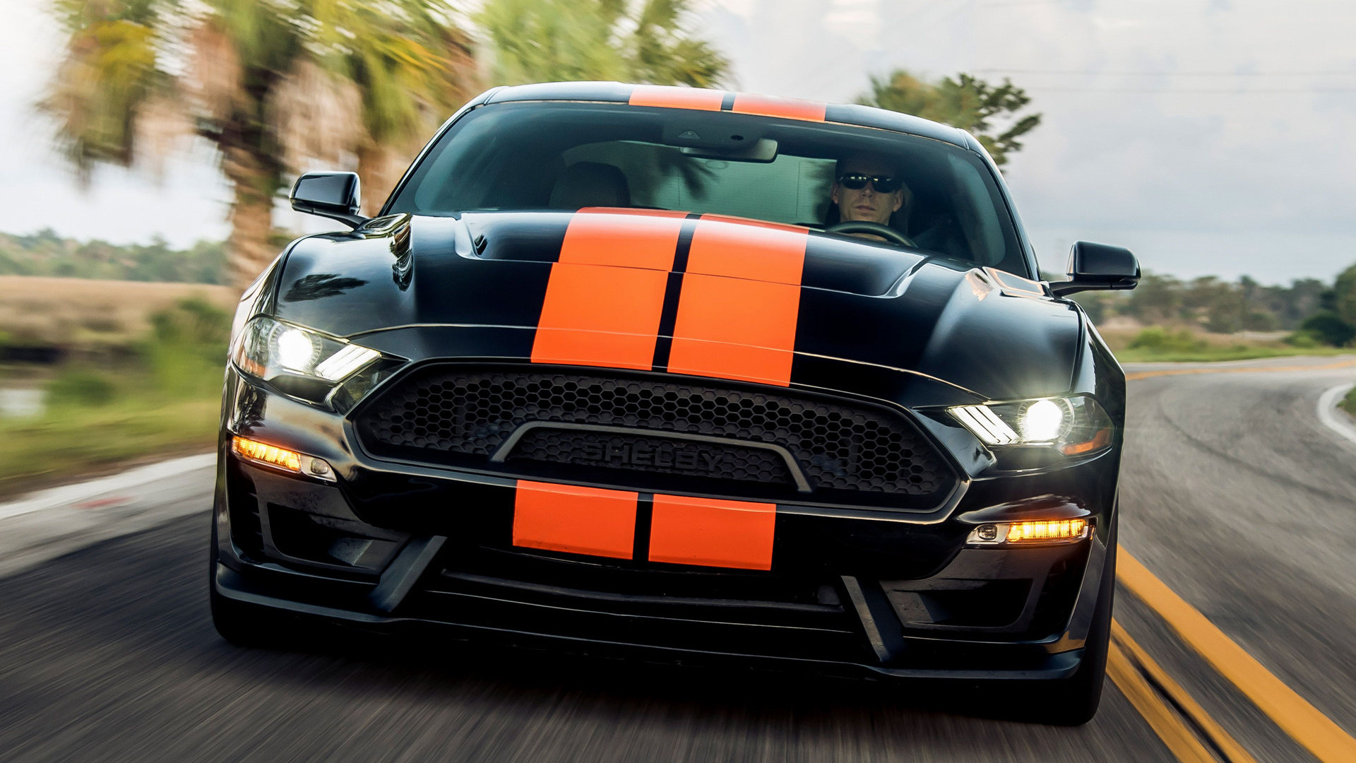 Mustang Of The Day: 2019 Ford Mustang Shelby GT-S