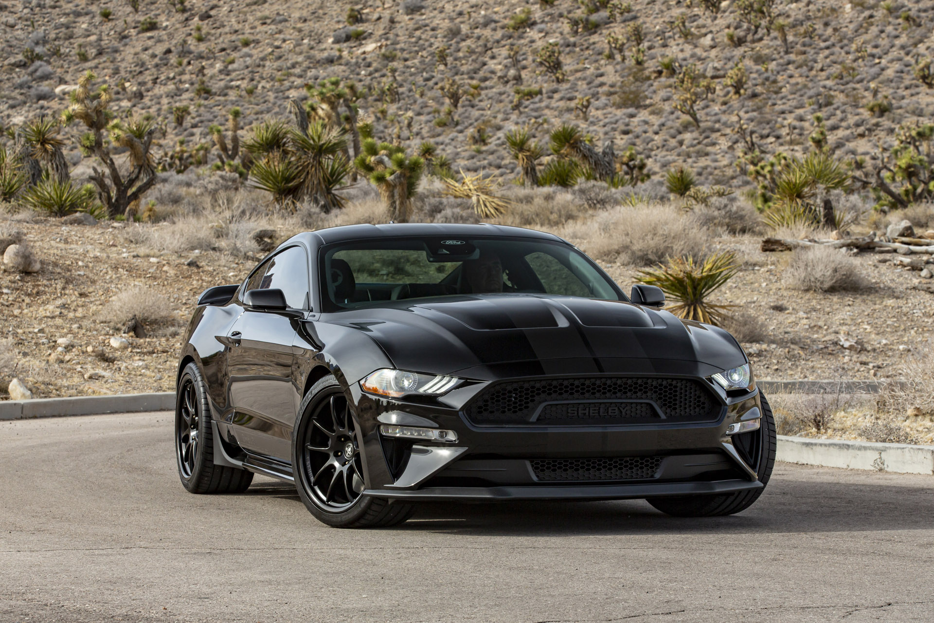 2023 Shelby Centennial Mustang