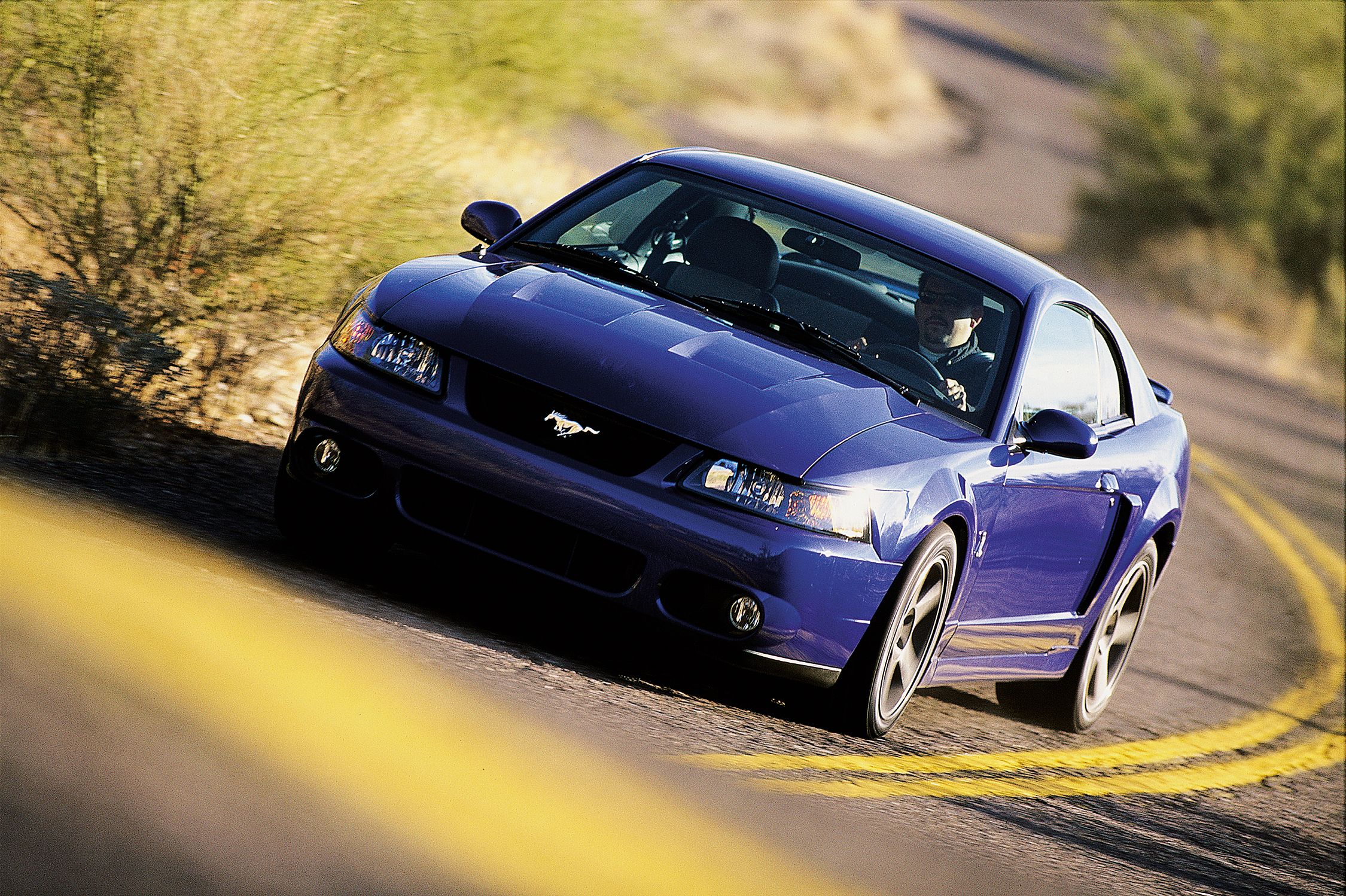 2003 Mustang SVT Cobra