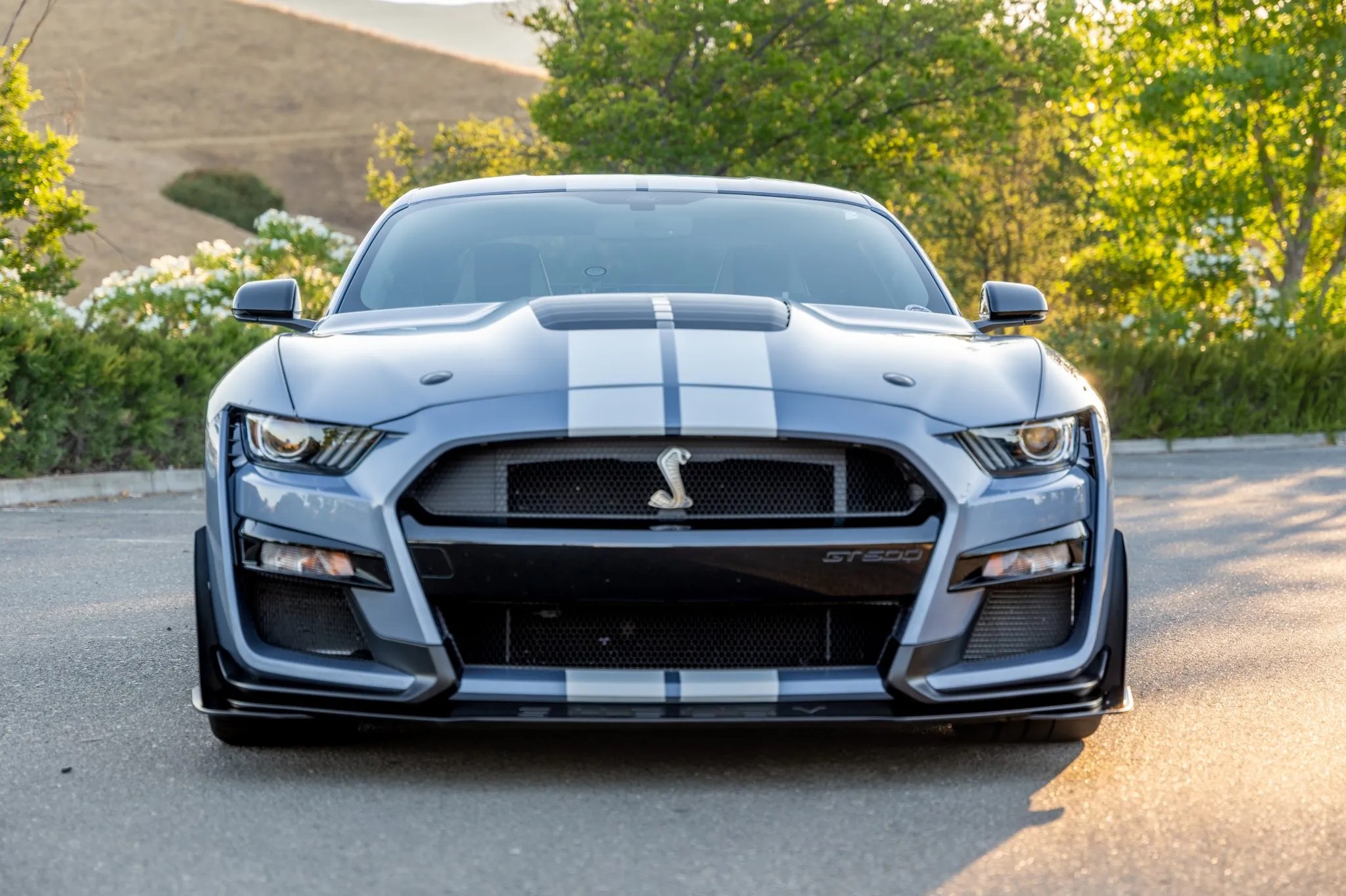 2022 Ford Mustang Shelby GT500 Heritage Edition