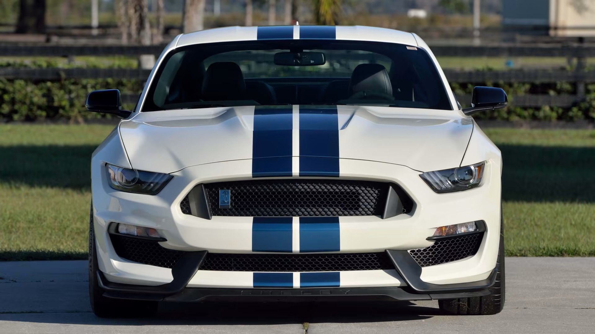  2020 Ford Mustang Shelby GT350 Heritage Edition