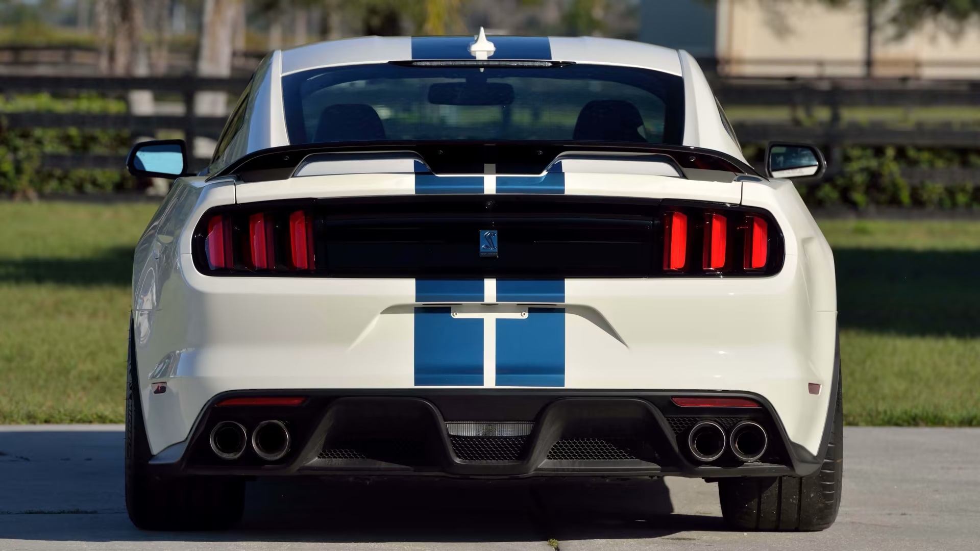  2020 Ford Mustang Shelby GT350 Heritage Edition