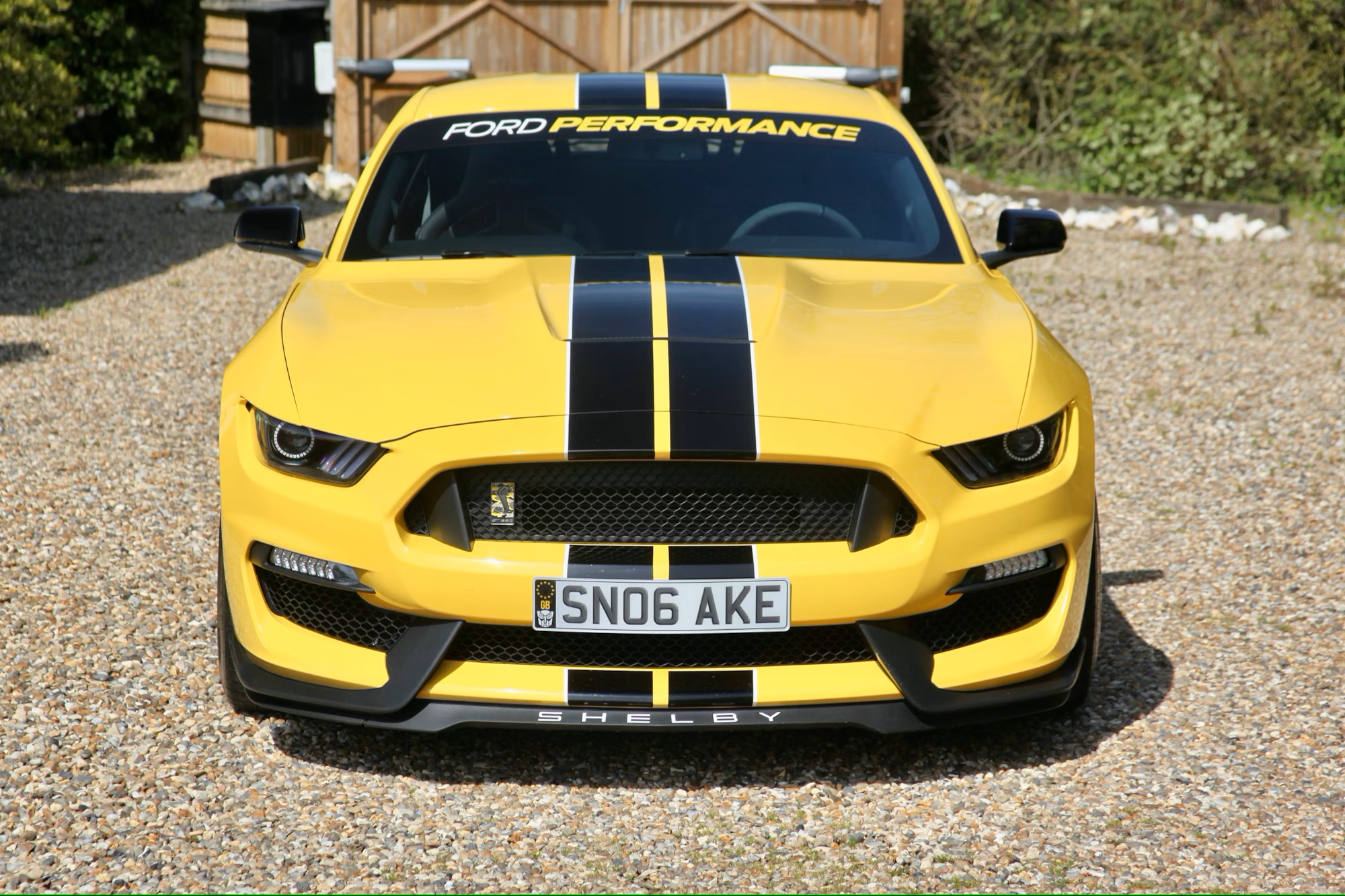 2016 Ford Shelby Mustang GT350
