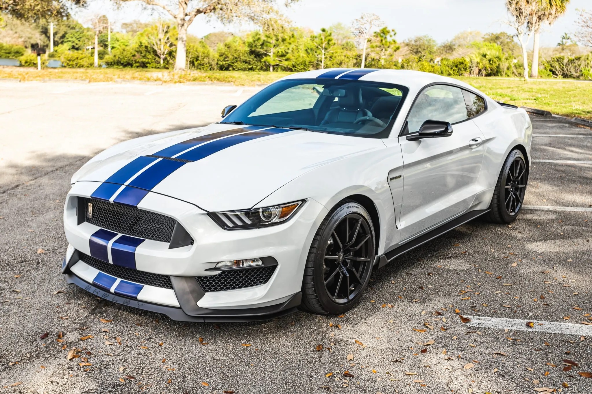 2016 Ford Mustang Shelby GT350